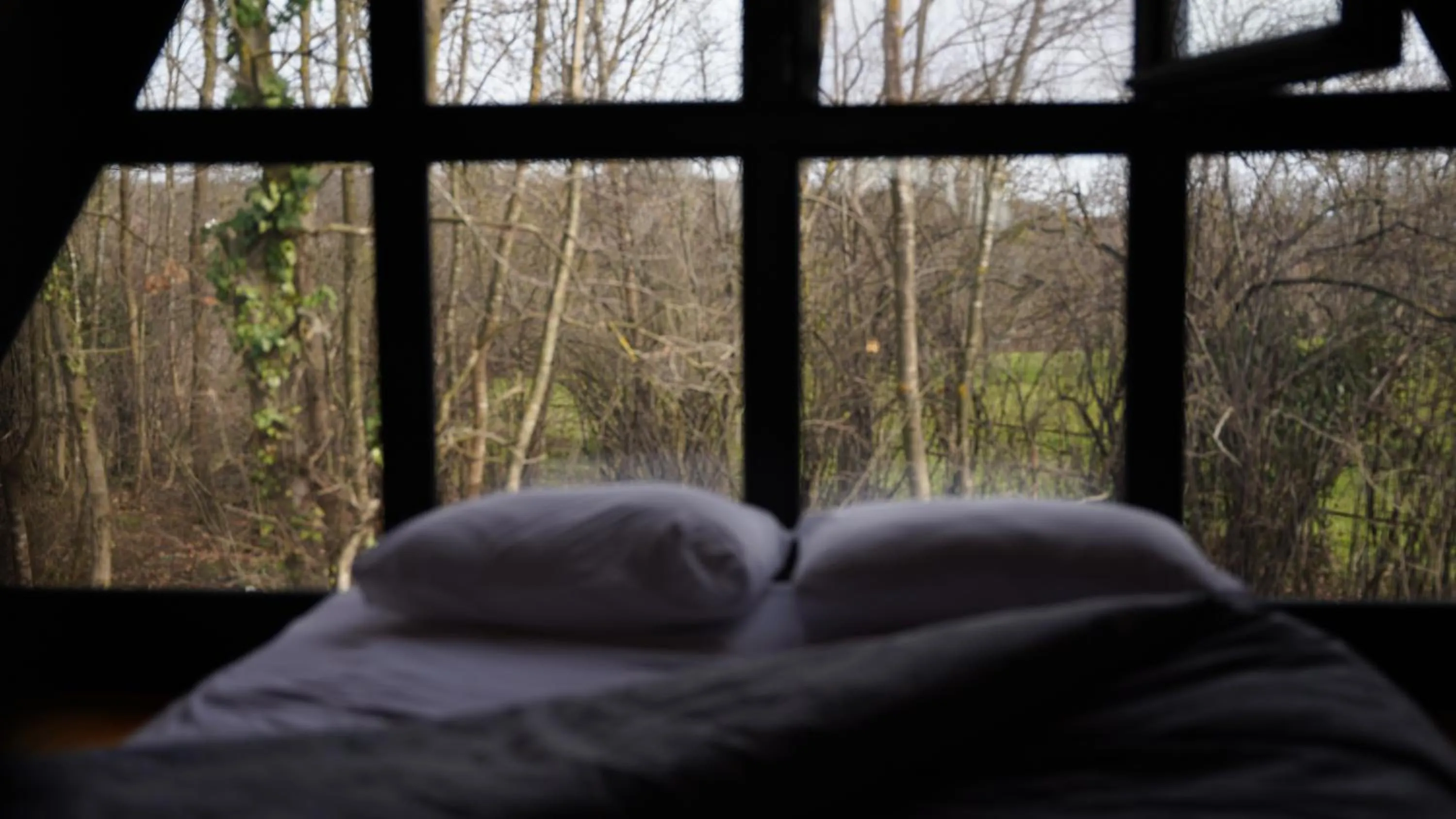 Natural landscape, Bed in Pentalow Cabin
