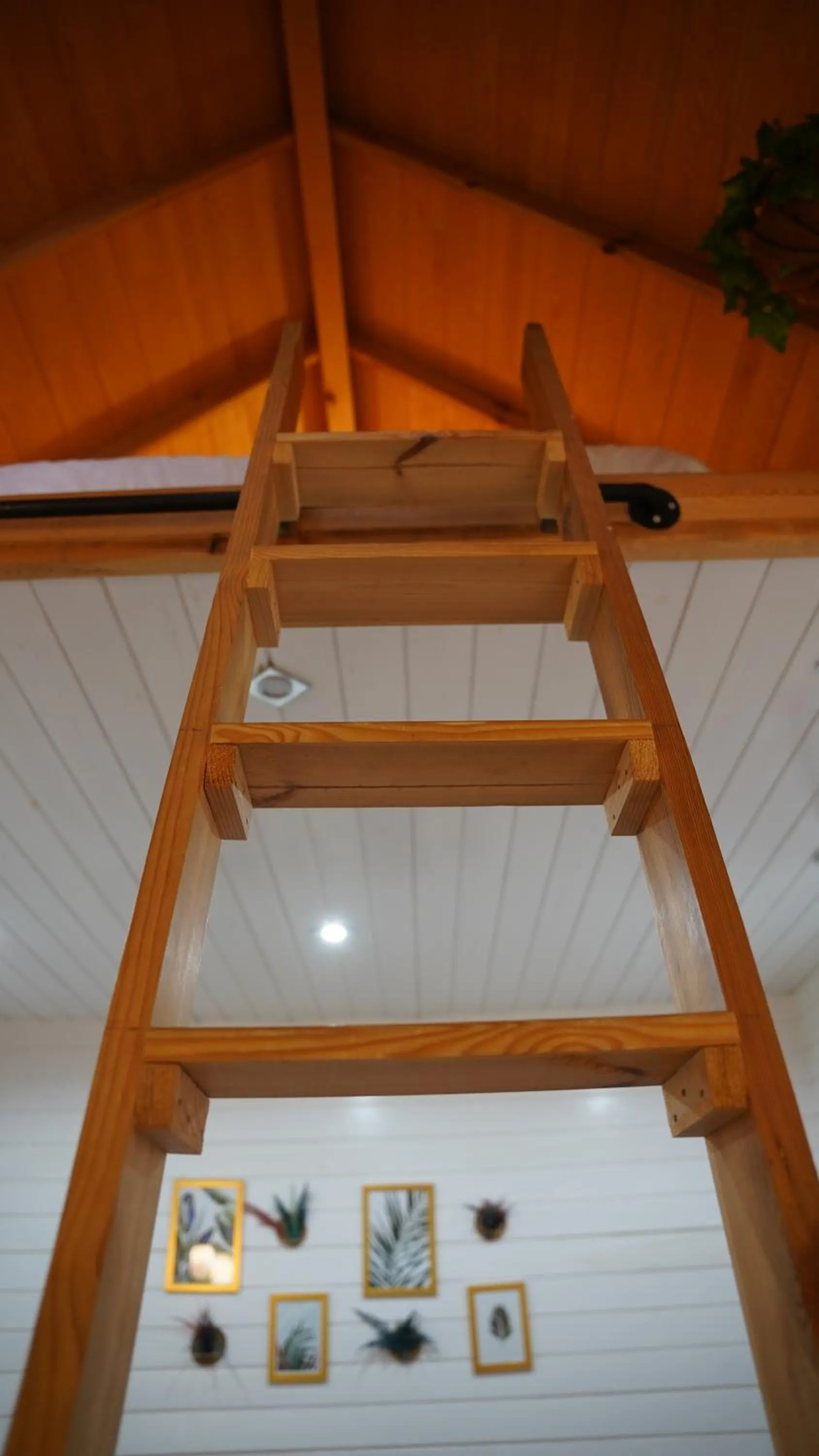 bunk bed in Pentalow Cabin