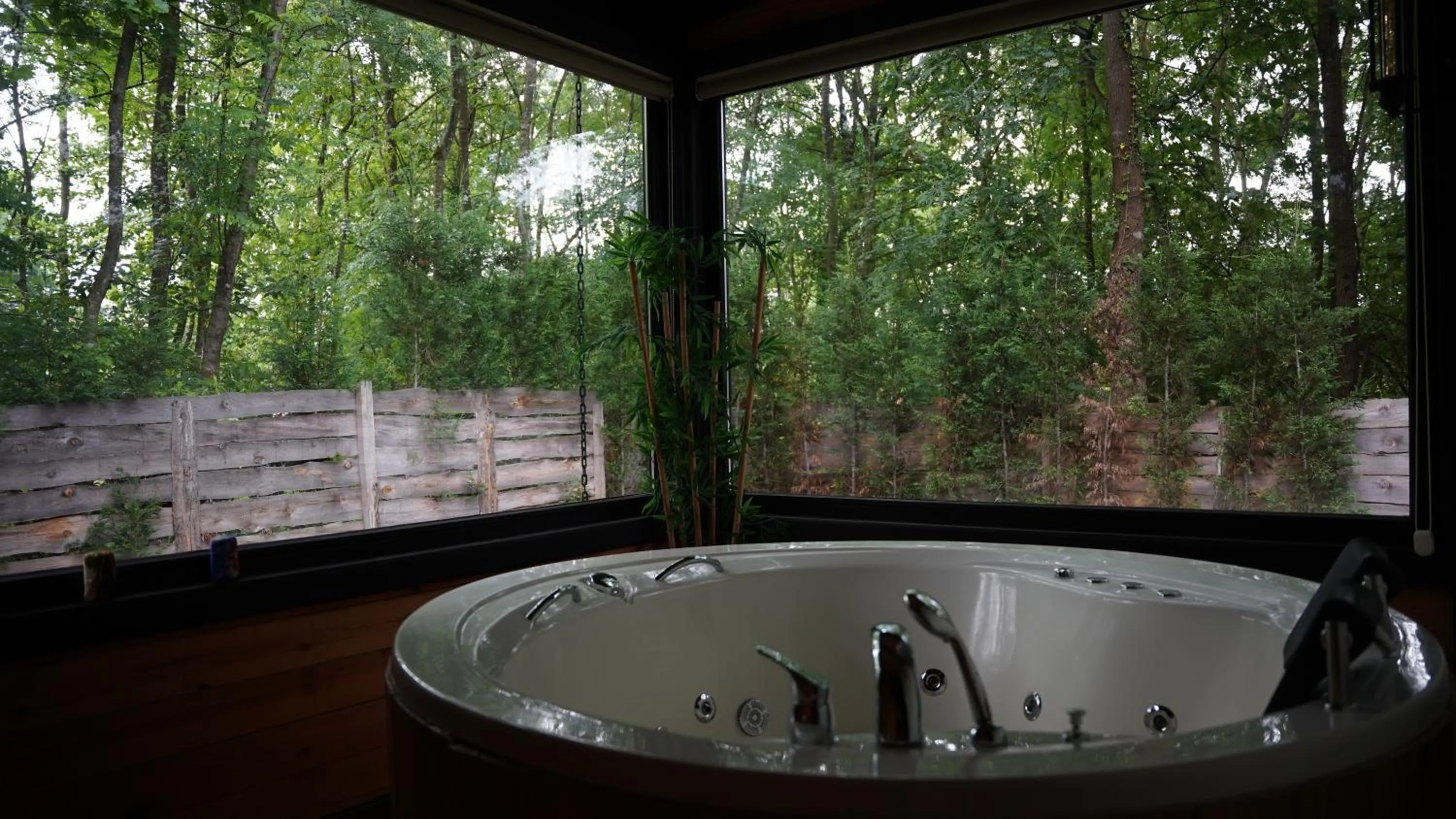 Natural landscape in Pentalow Cabin