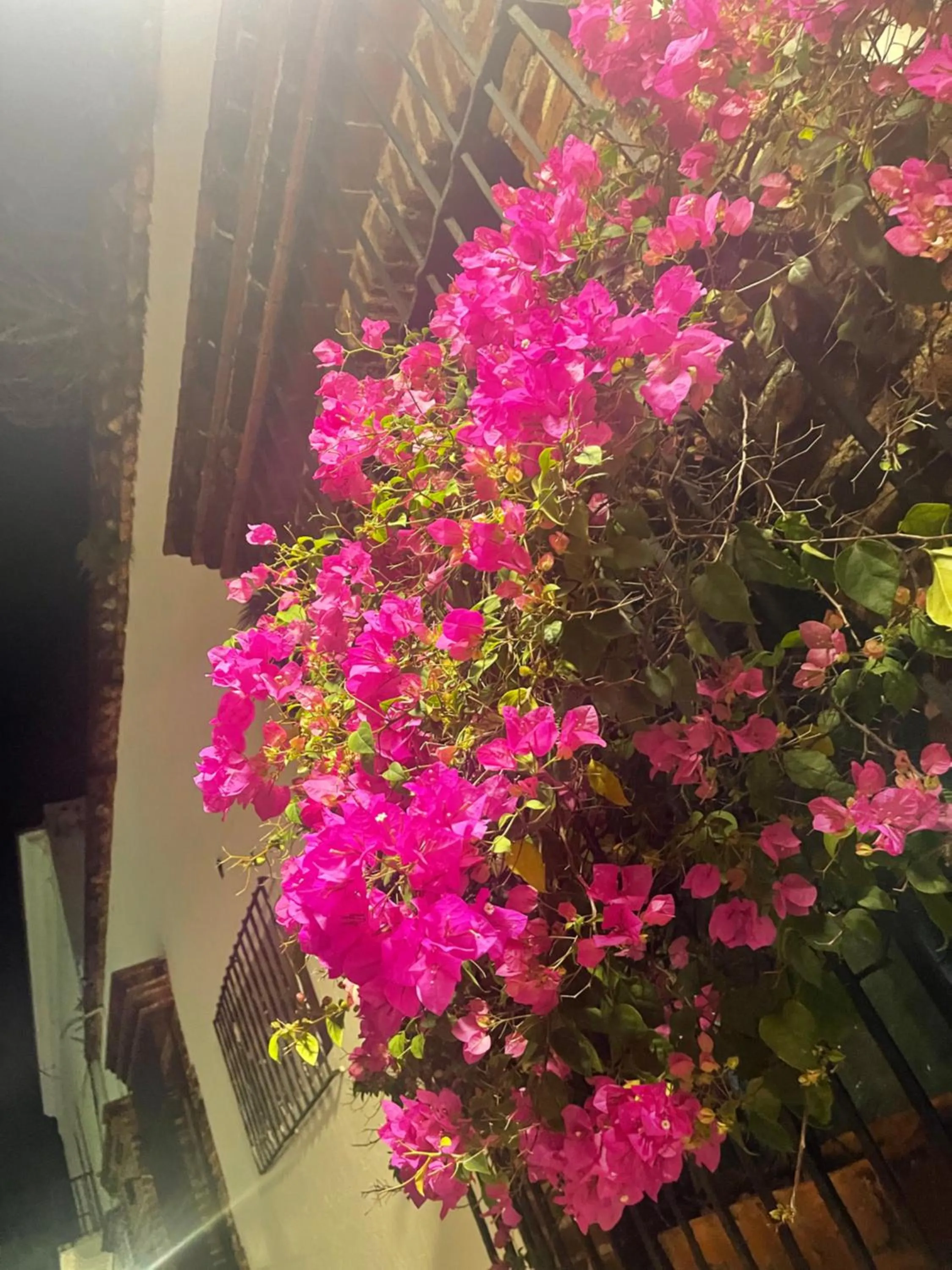 Studio 27 Colonial, Centro Histórico