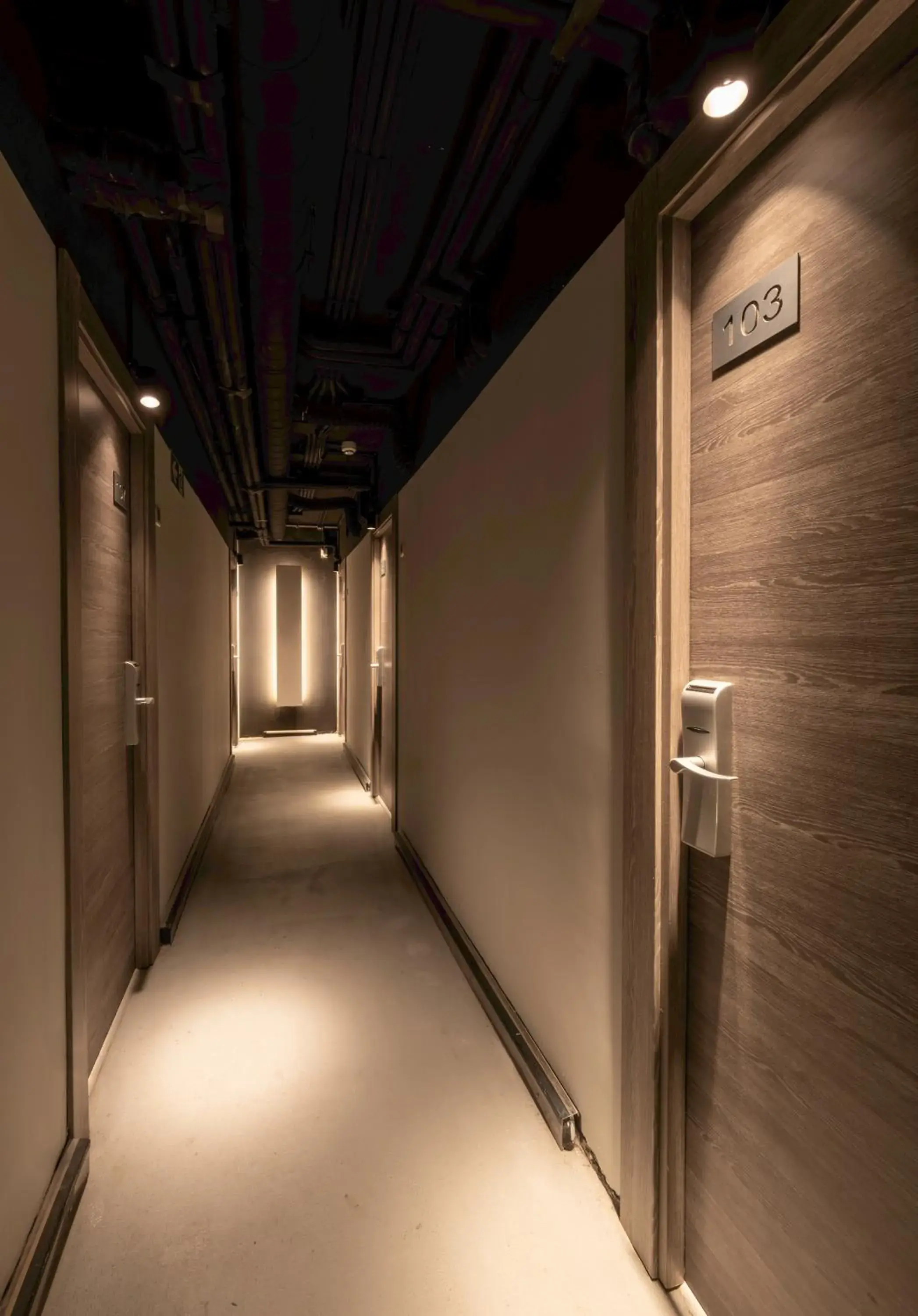 Area and facilities in Hotel Bilbi Area and facilities in Hotel Bilbi