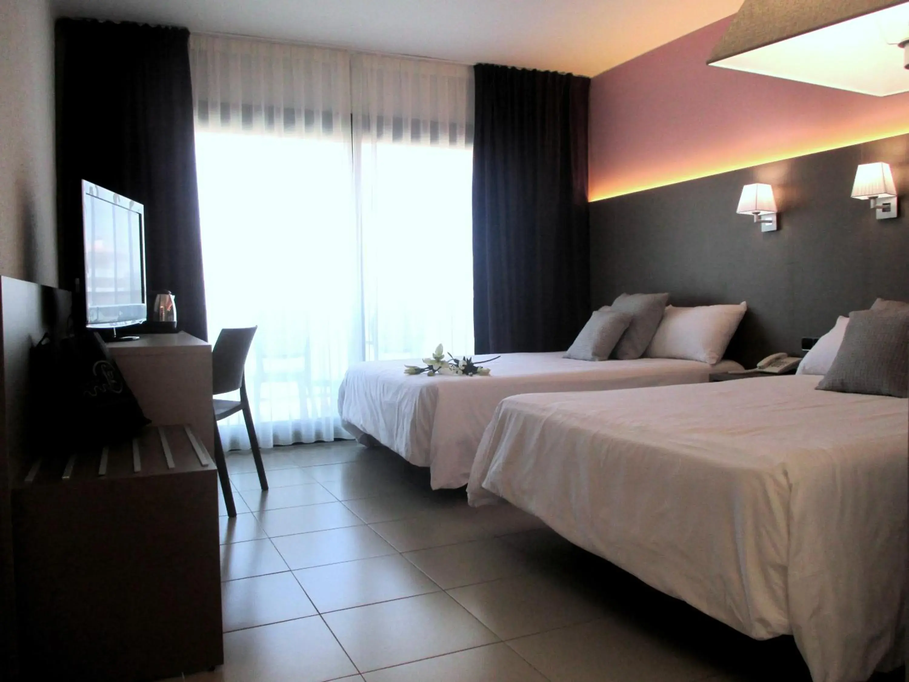 Photo of the whole room in Fenals Garden Photo of the whole room in Fenals Garden