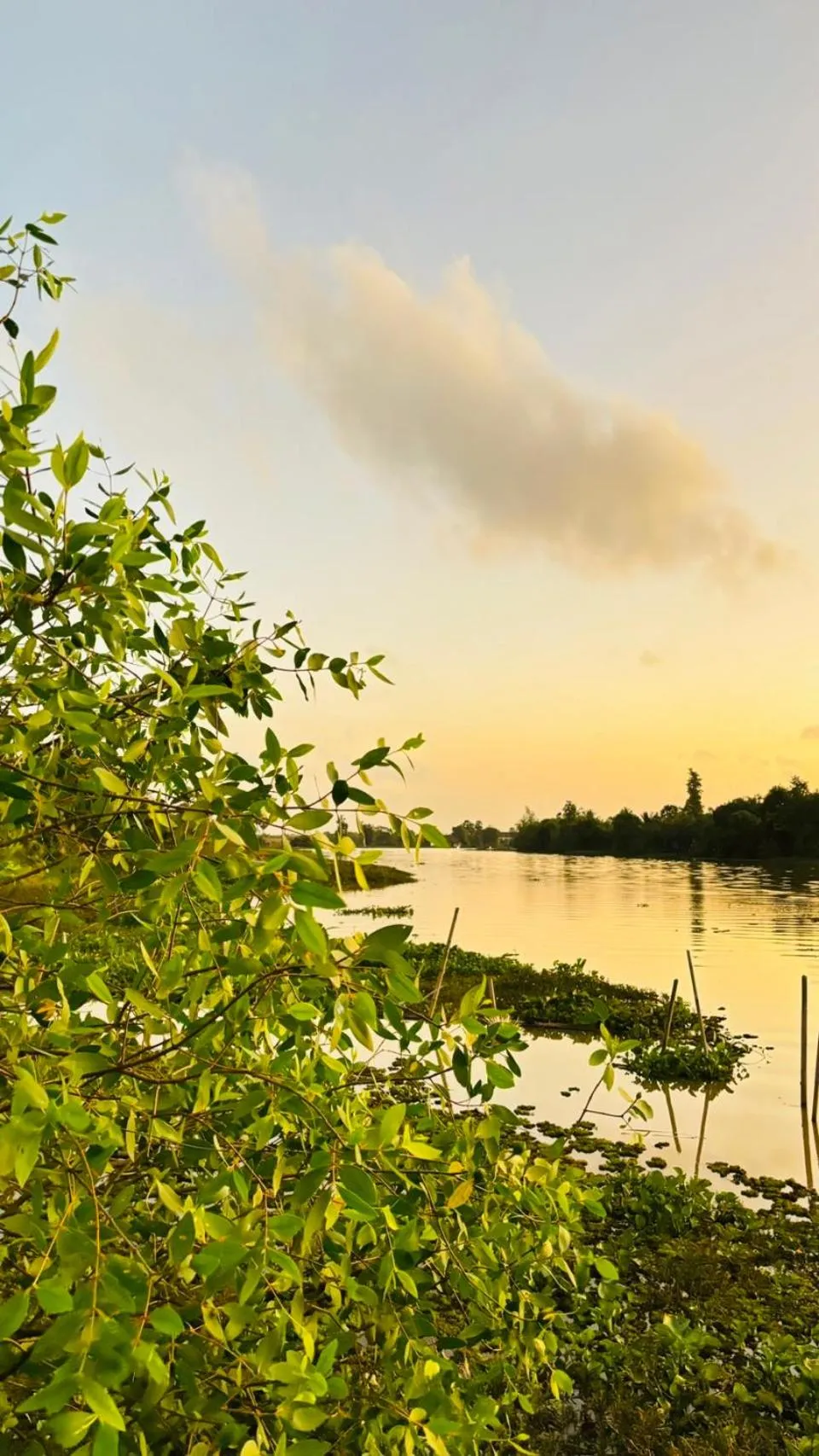 View (from property/room) in Canal Village Pakpra Phatthalung