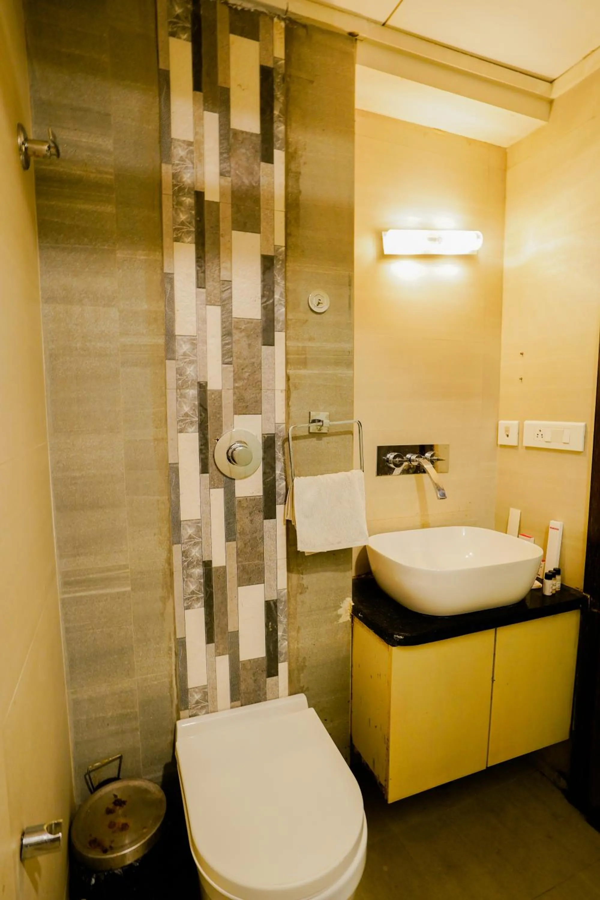 Toilet in Hotel Cheelgadi