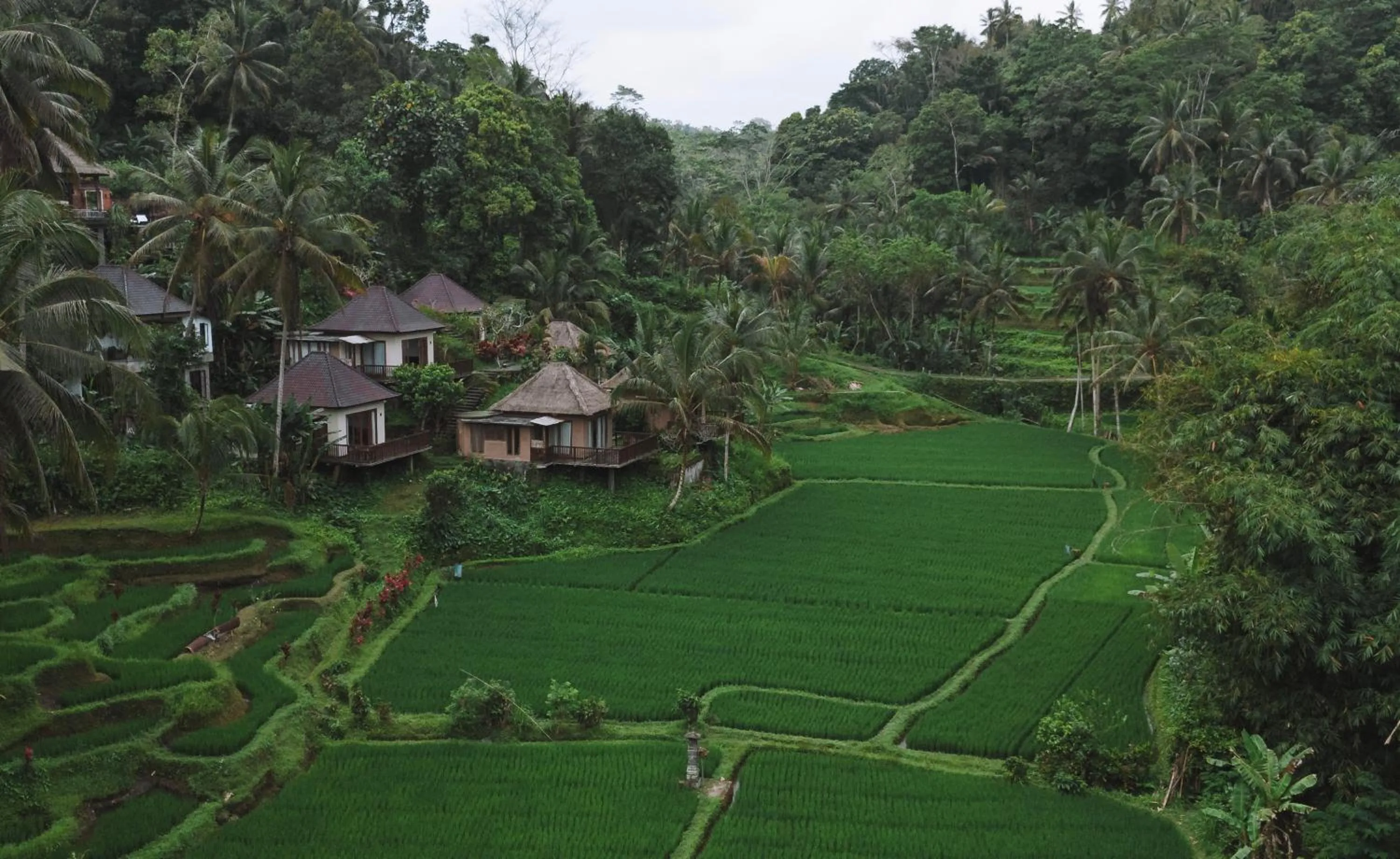 View (from property/room) in The Tirta Sari Villas