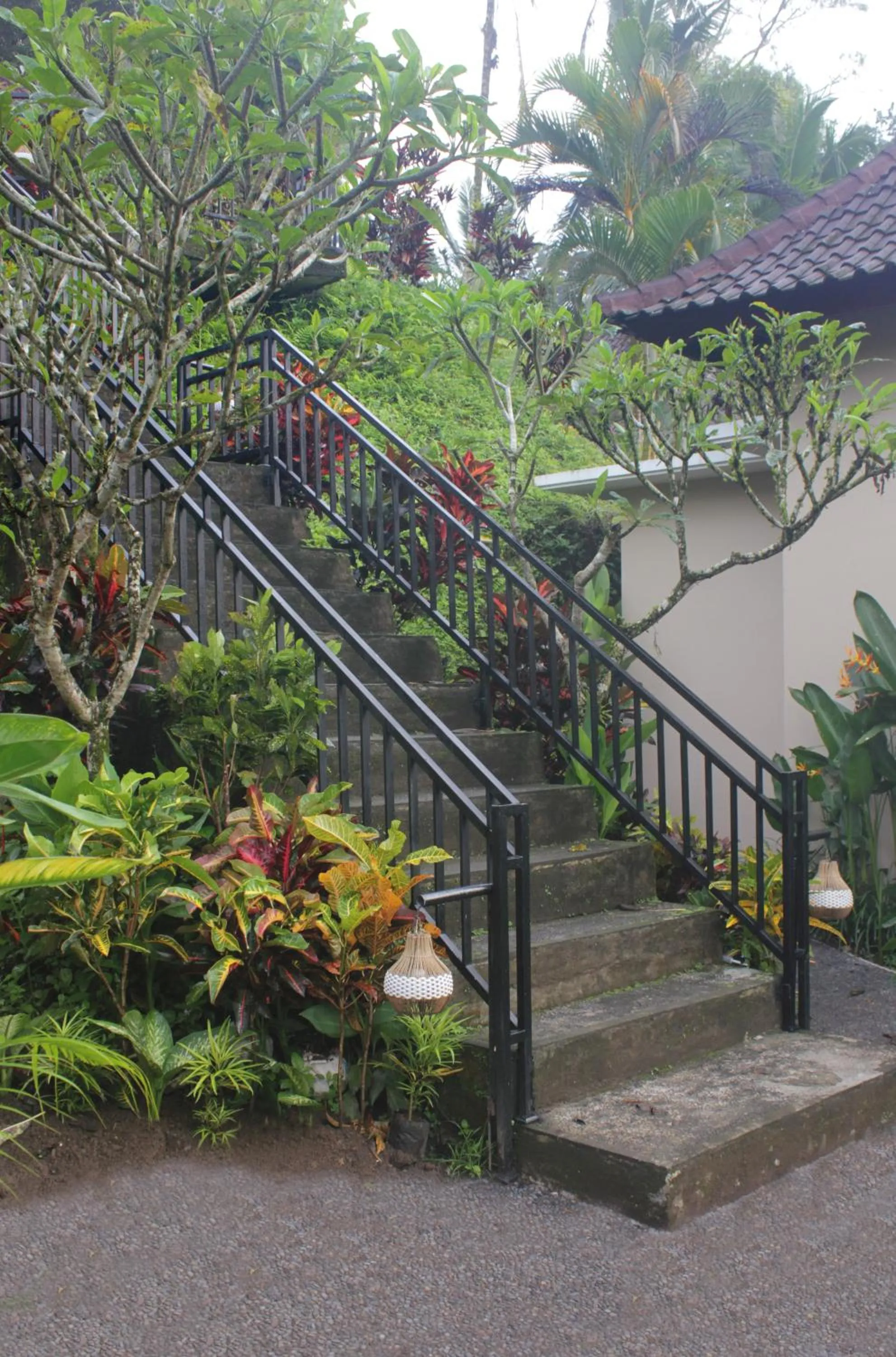 Garden in The Tirta Sari Villas