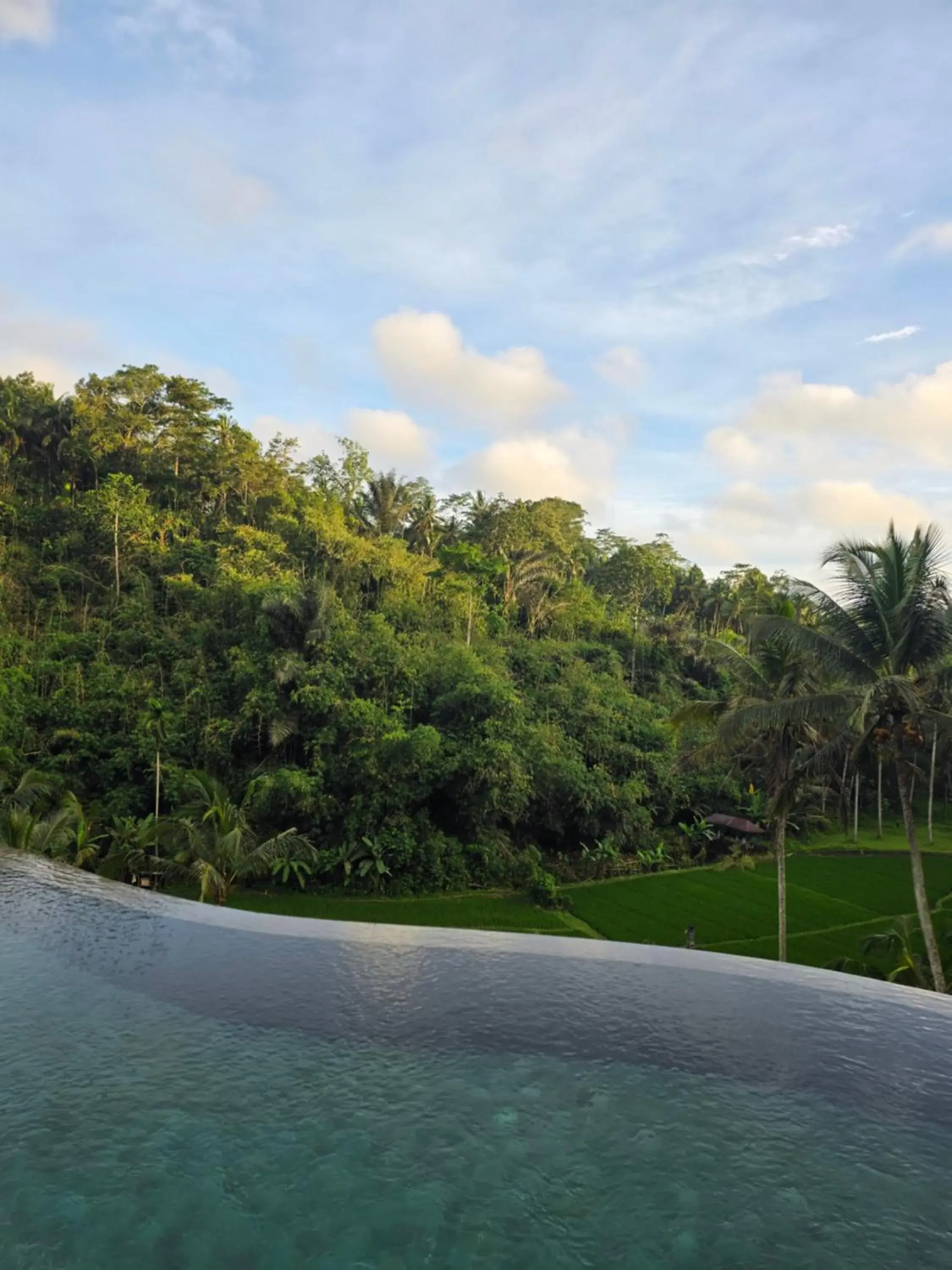 Swimming pool in The Tirta Sari Villas Swimming pool in The Tirta Sari Villas
