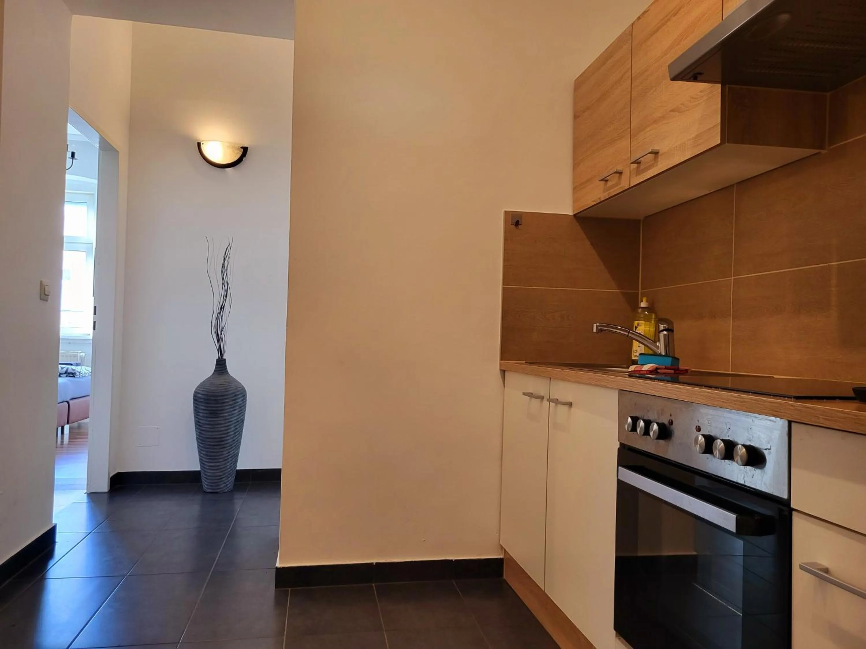 Apartment Schweglerstrasse - near Stadthalle