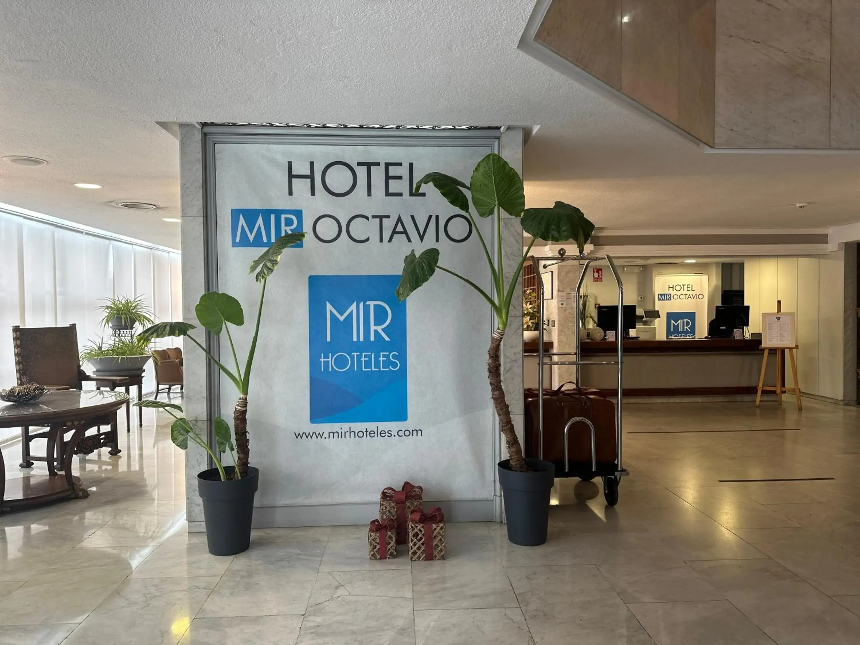 Lobby or reception in Mir Octavio Lobby or reception in Mir Octavio