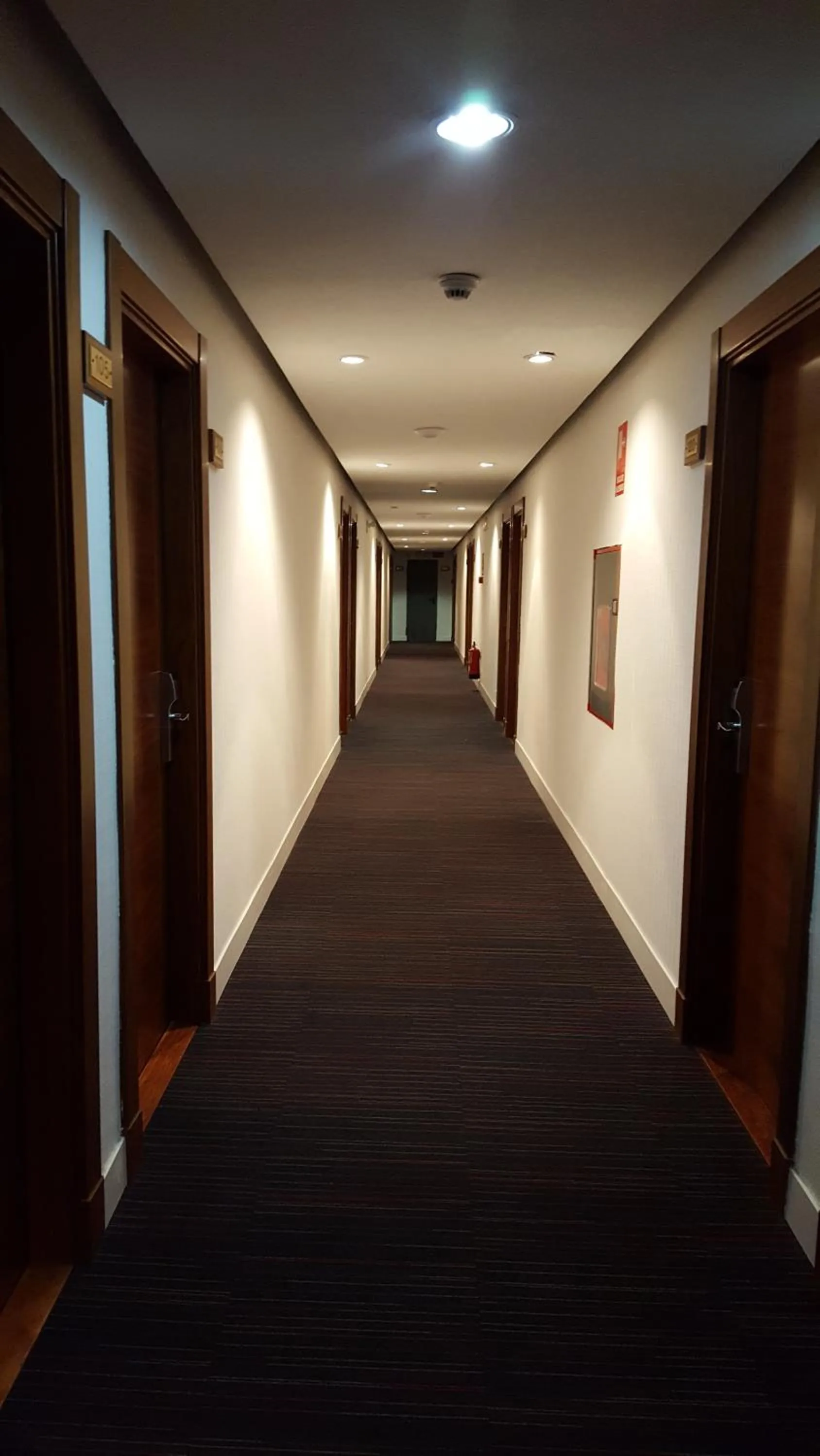 On site in Mir Octavio