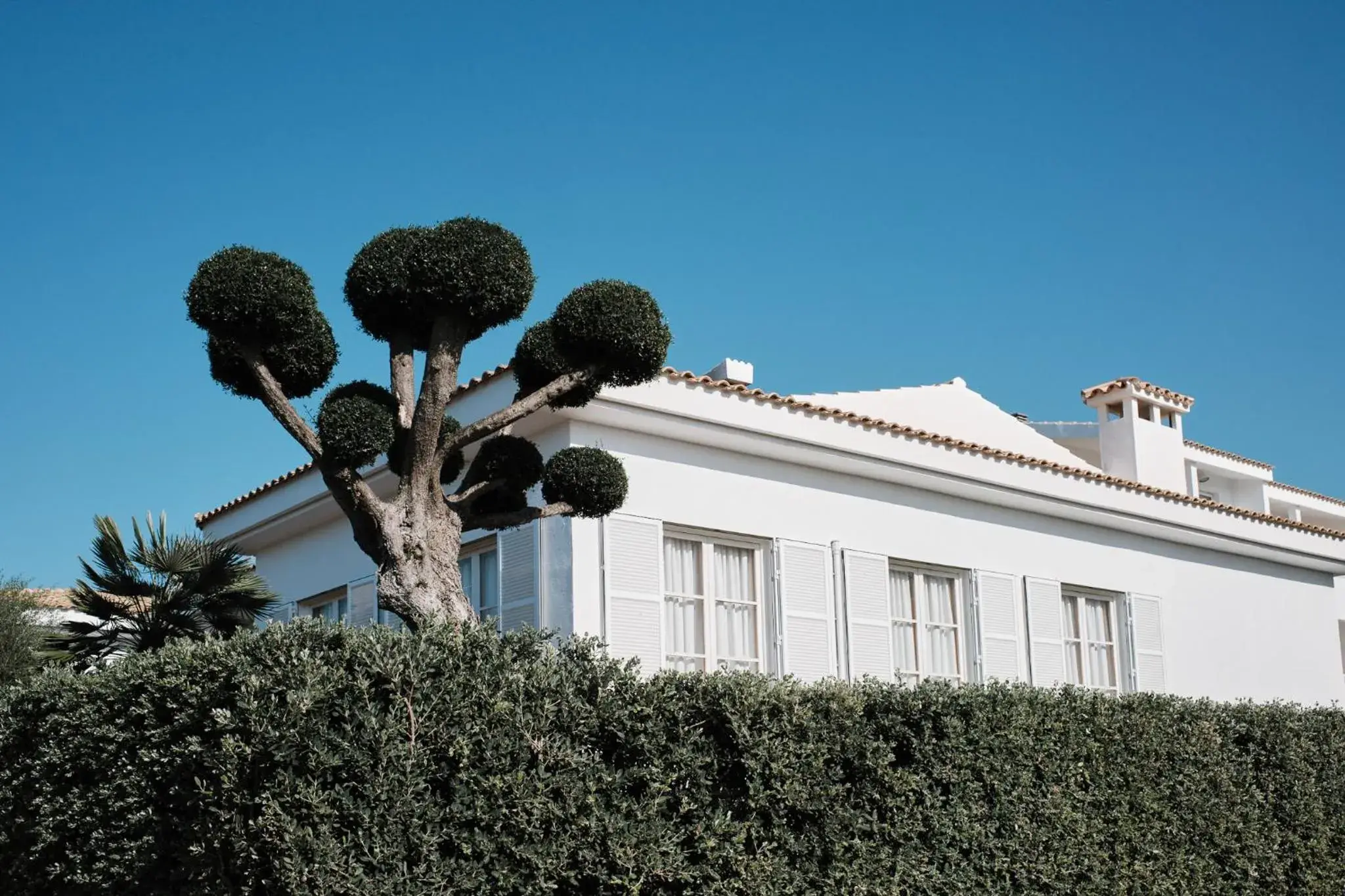 Property building in Prinsotel La Caleta Property building in Prinsotel La Caleta