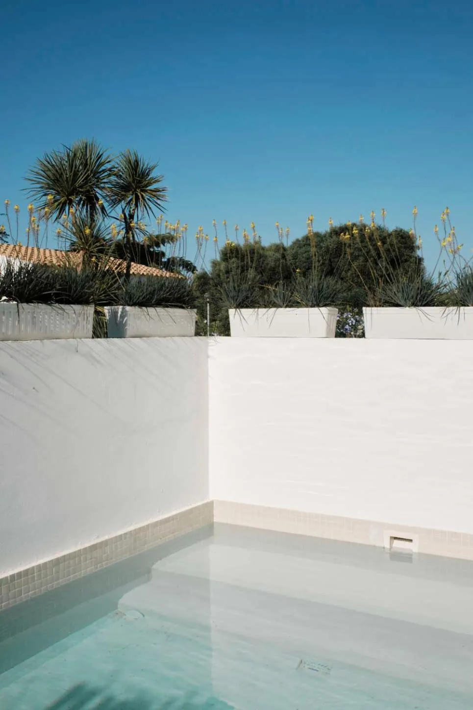 Swimming pool in Prinsotel La Caleta