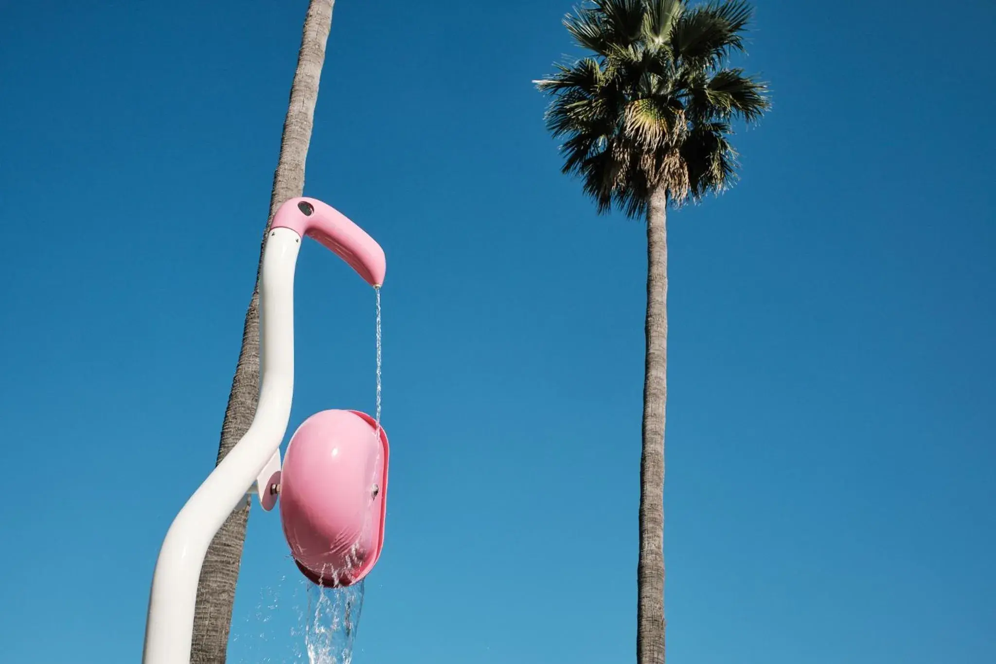 Swimming pool in Prinsotel La Caleta Swimming pool in Prinsotel La Caleta