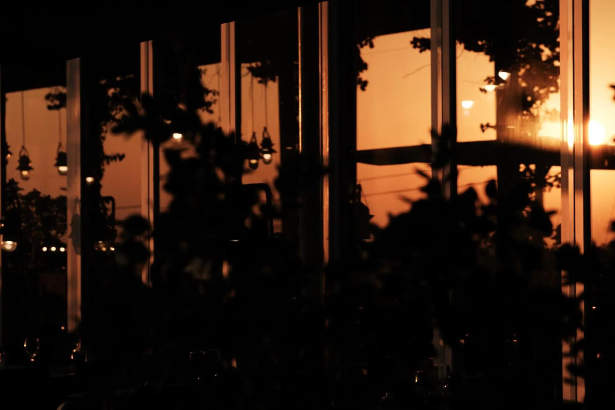 Restaurant/places to eat in Prinsotel La Caleta