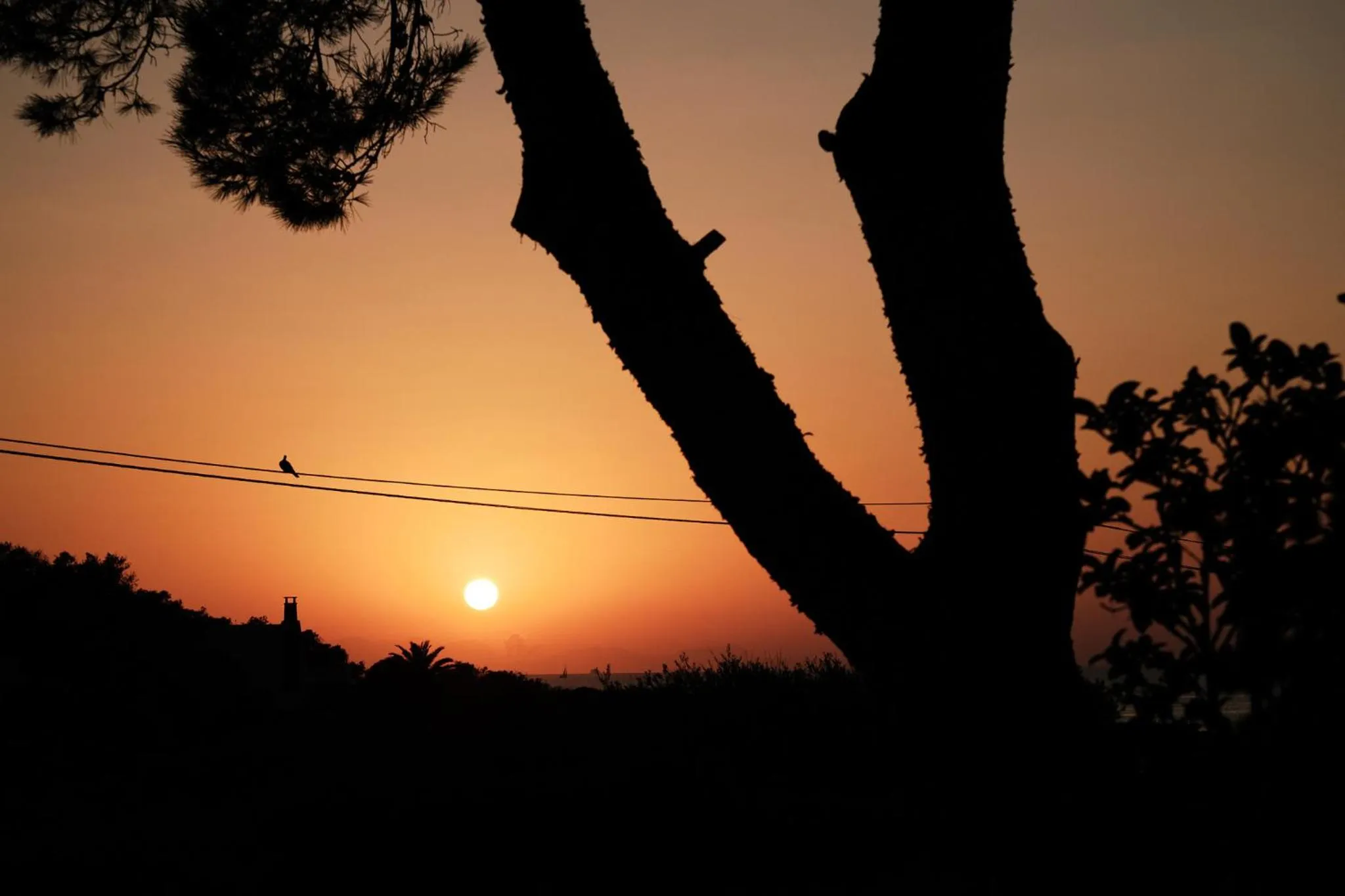 Restaurant/places to eat in Prinsotel La Caleta