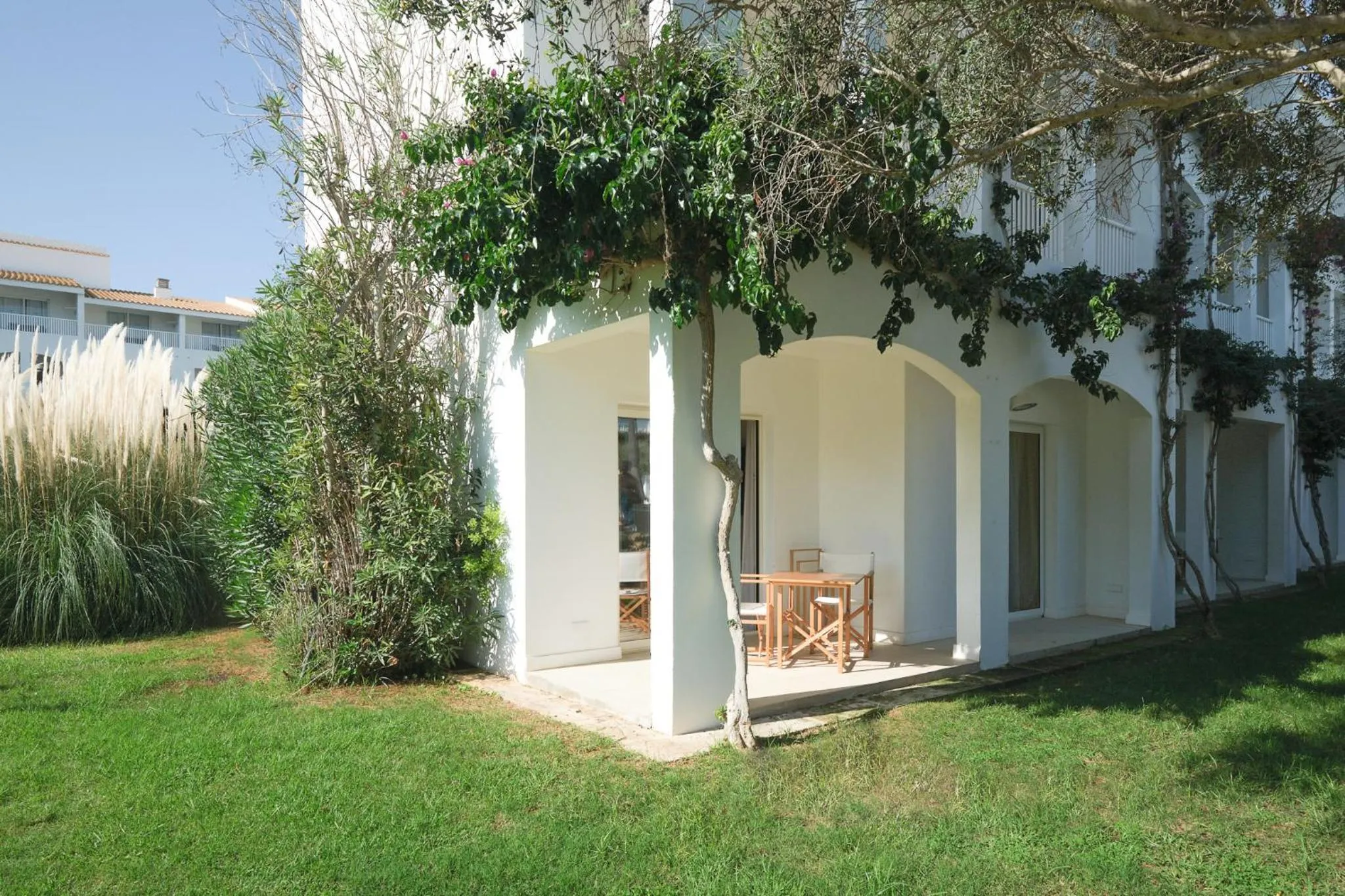 Garden in Prinsotel La Caleta