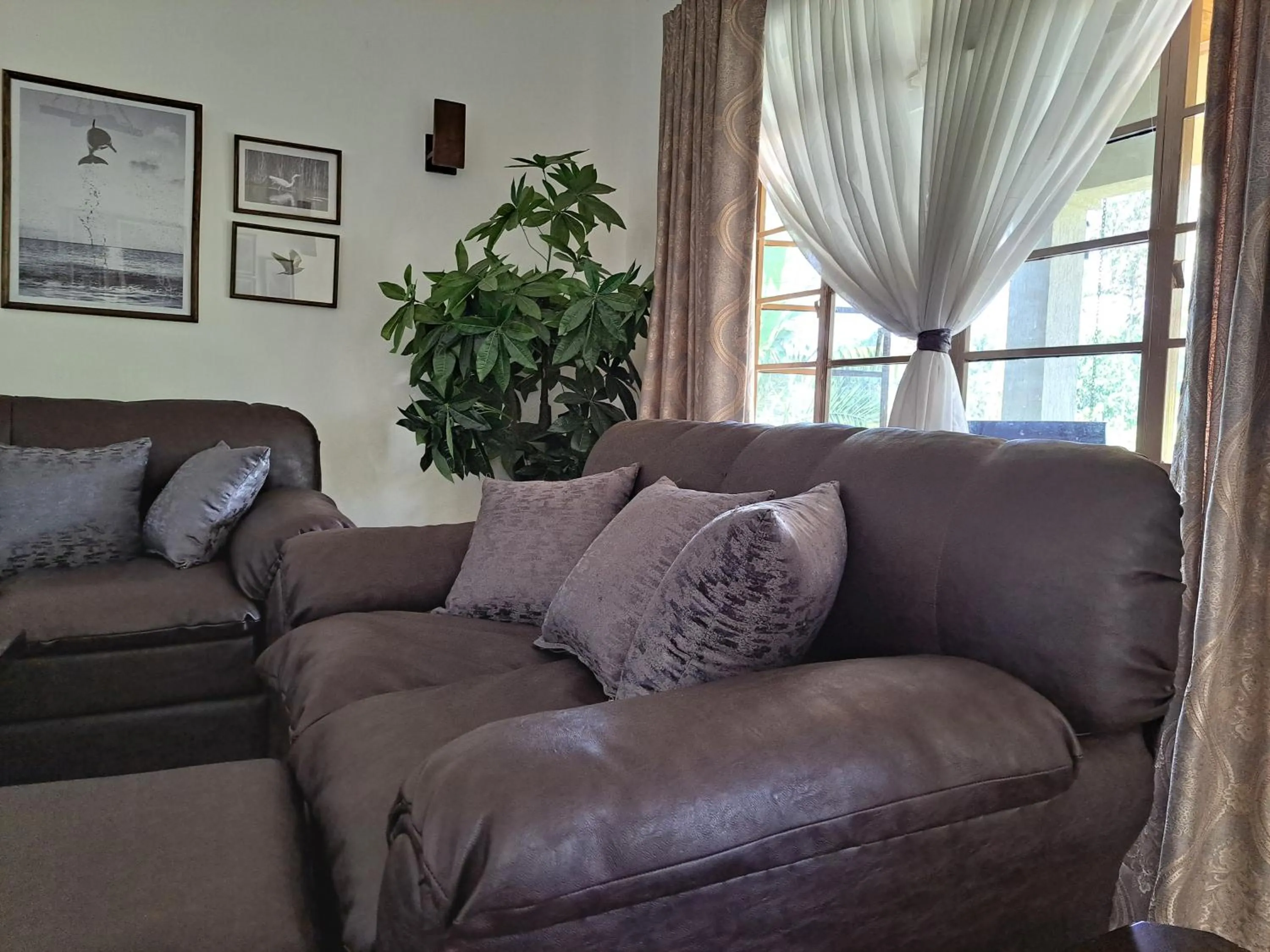 Seating area in Enaiteru