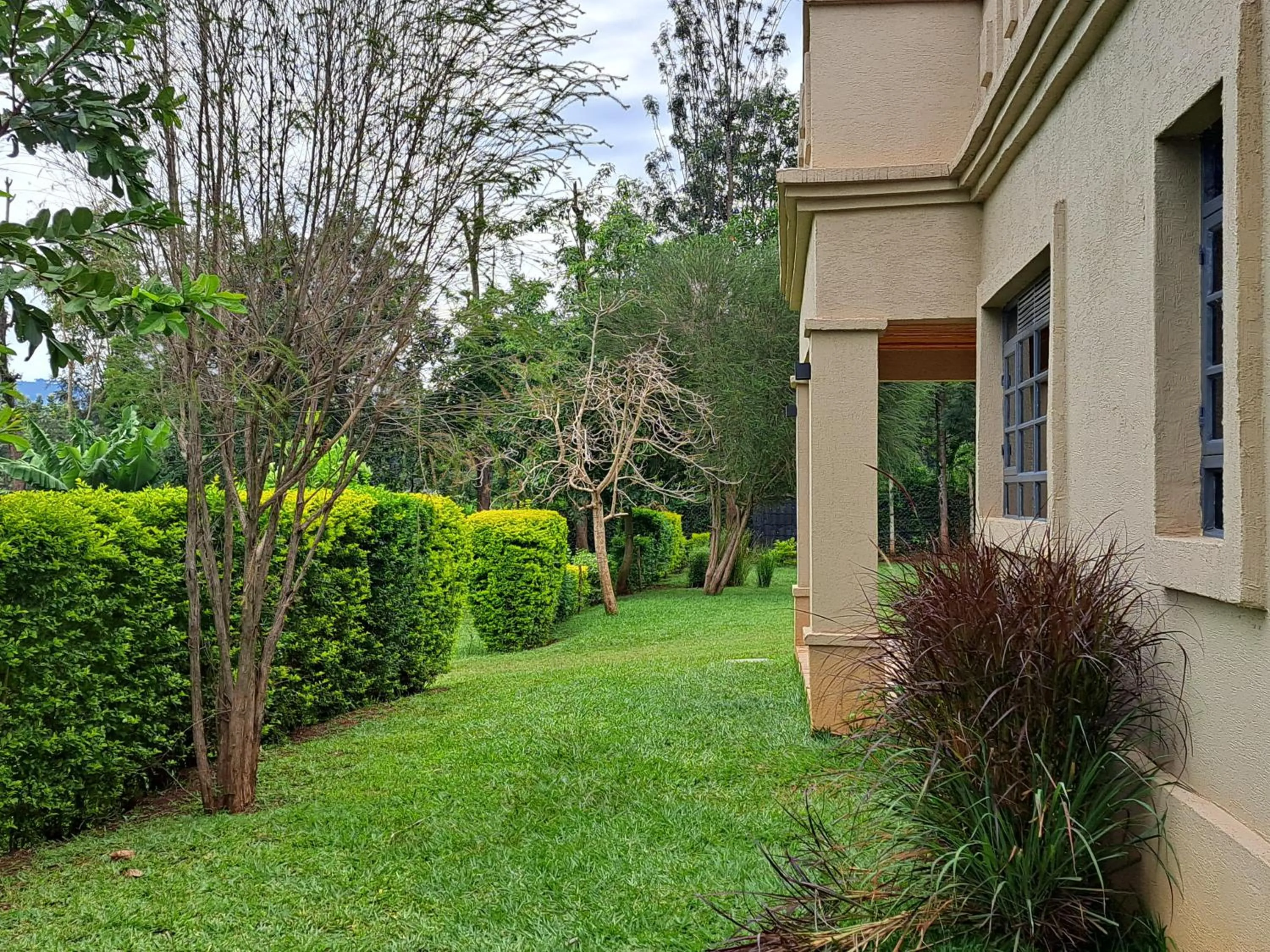 Garden view in Enaiteru