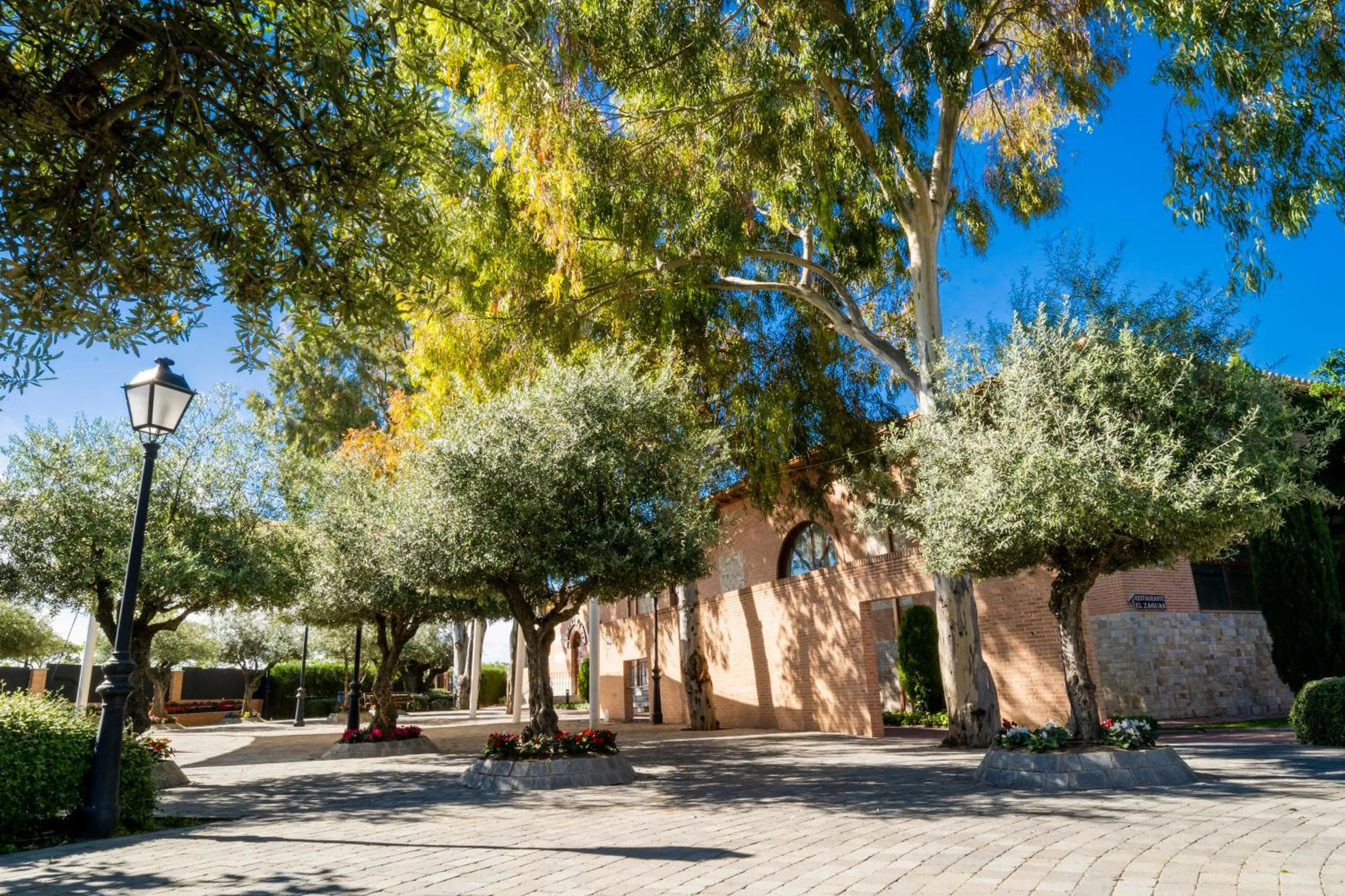 Garden in Hotel Comendador
