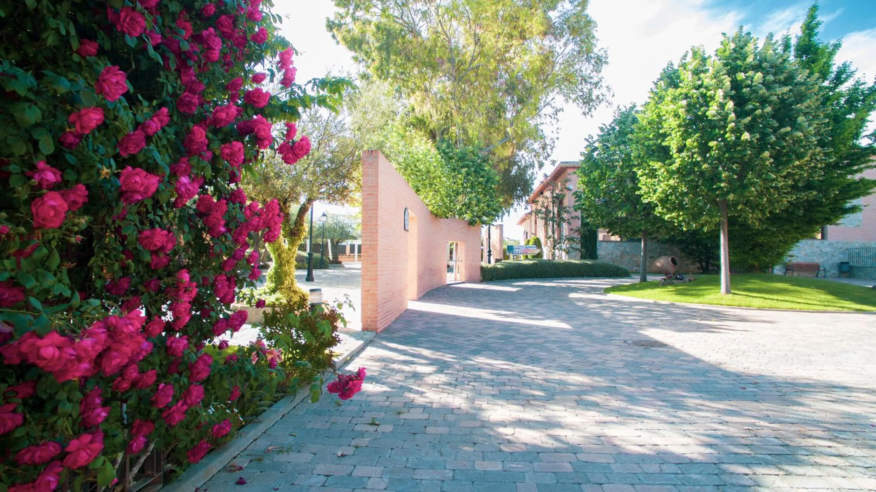 Garden in Hotel Comendador