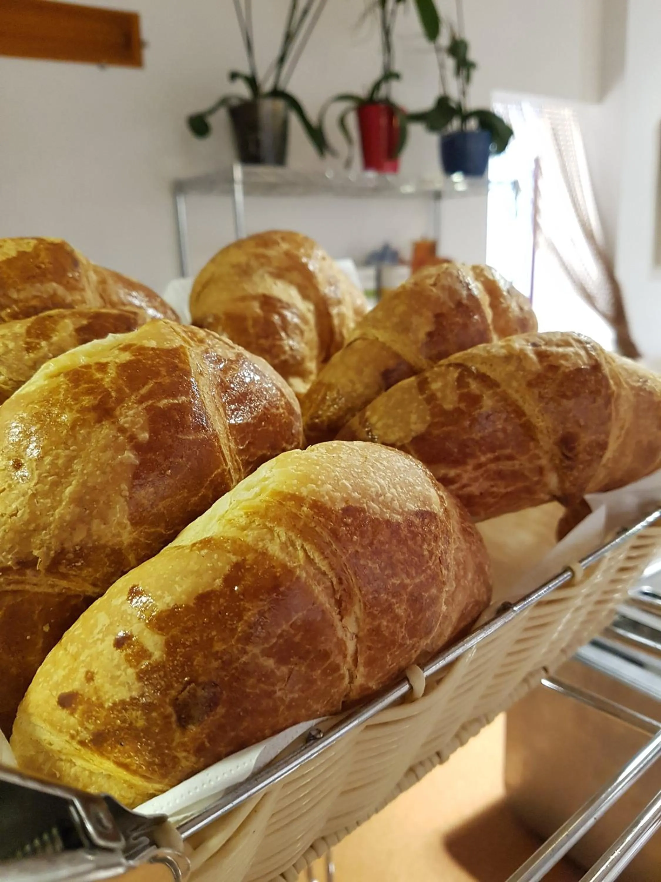 Breakfast, Food in L'Hostal Pollenca - Turisme Interior
