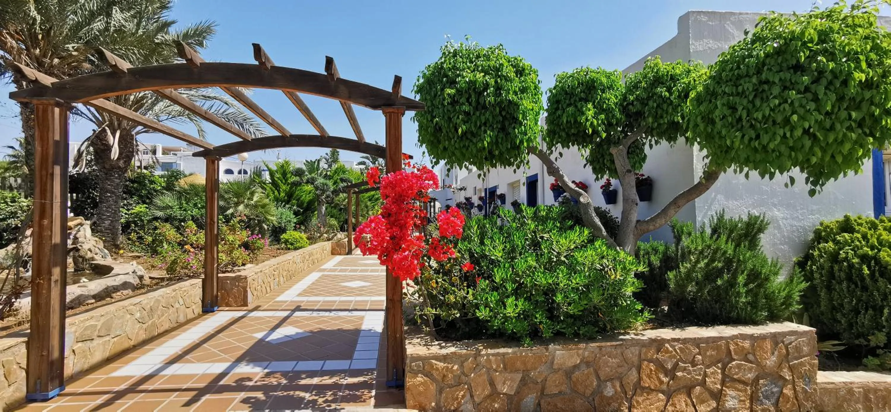 Garden view in Hotel El Puntazo I