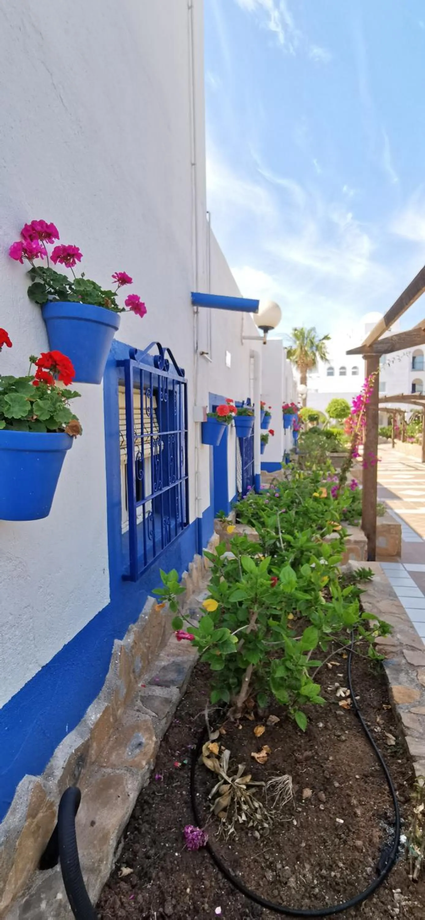 Garden view in Hotel El Puntazo I