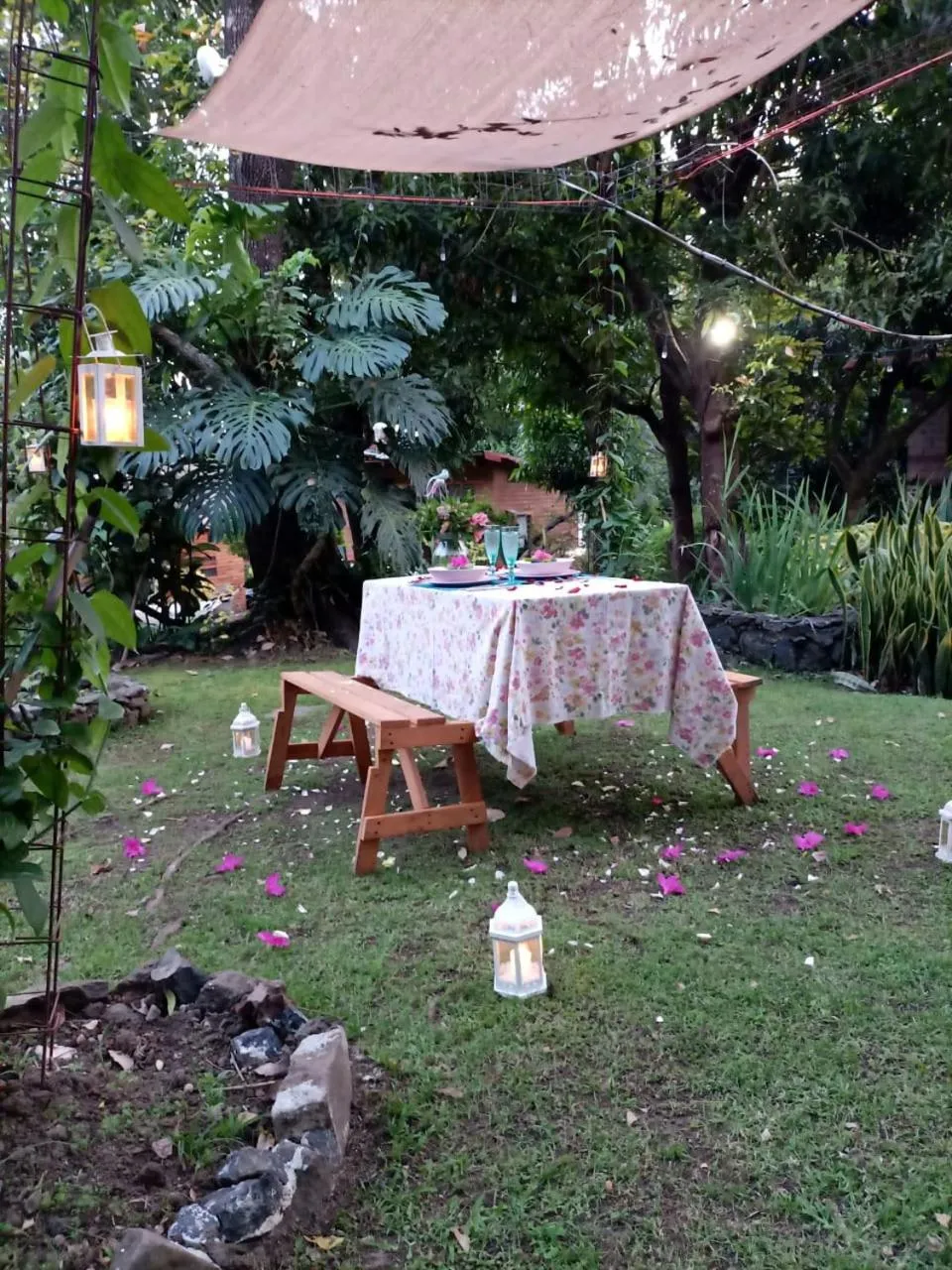 Canto de Aves