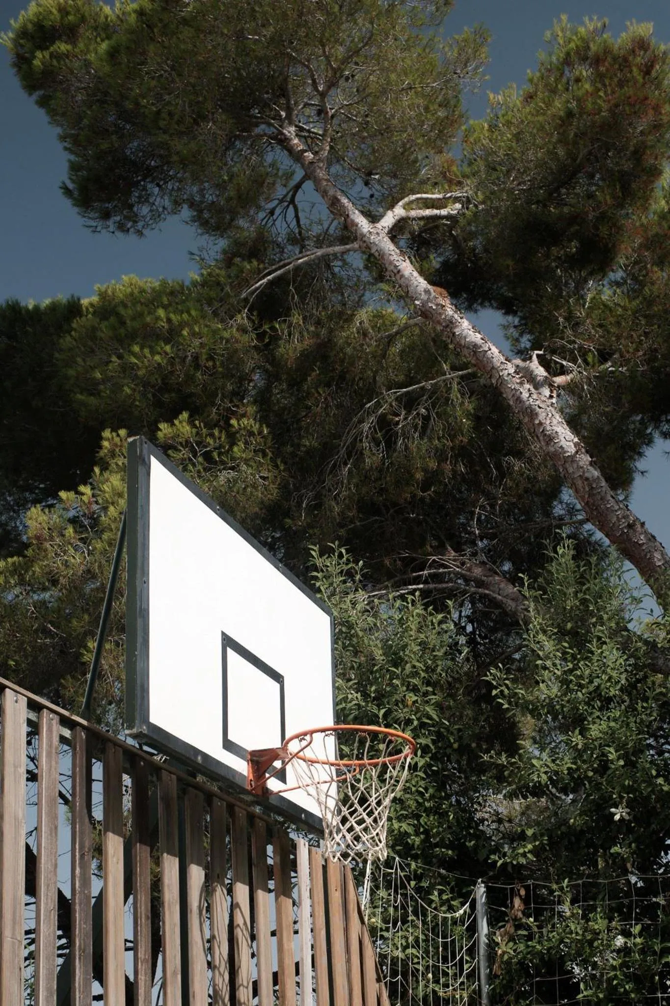 Sports in Prinsotel Alba & Spa