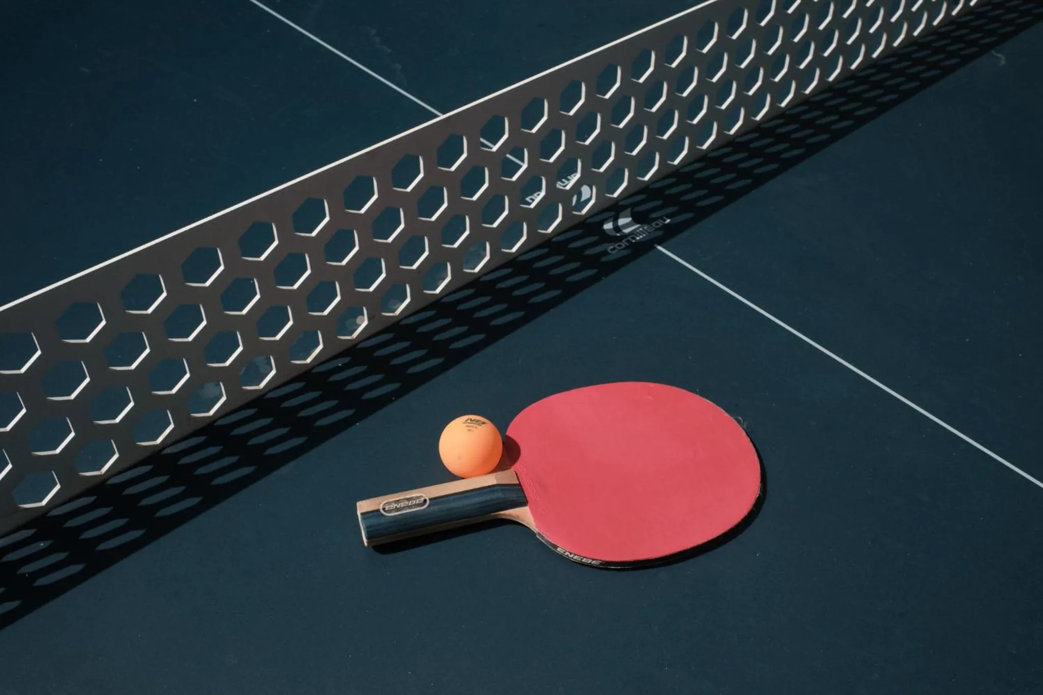 Table tennis in Prinsotel Alba & Spa