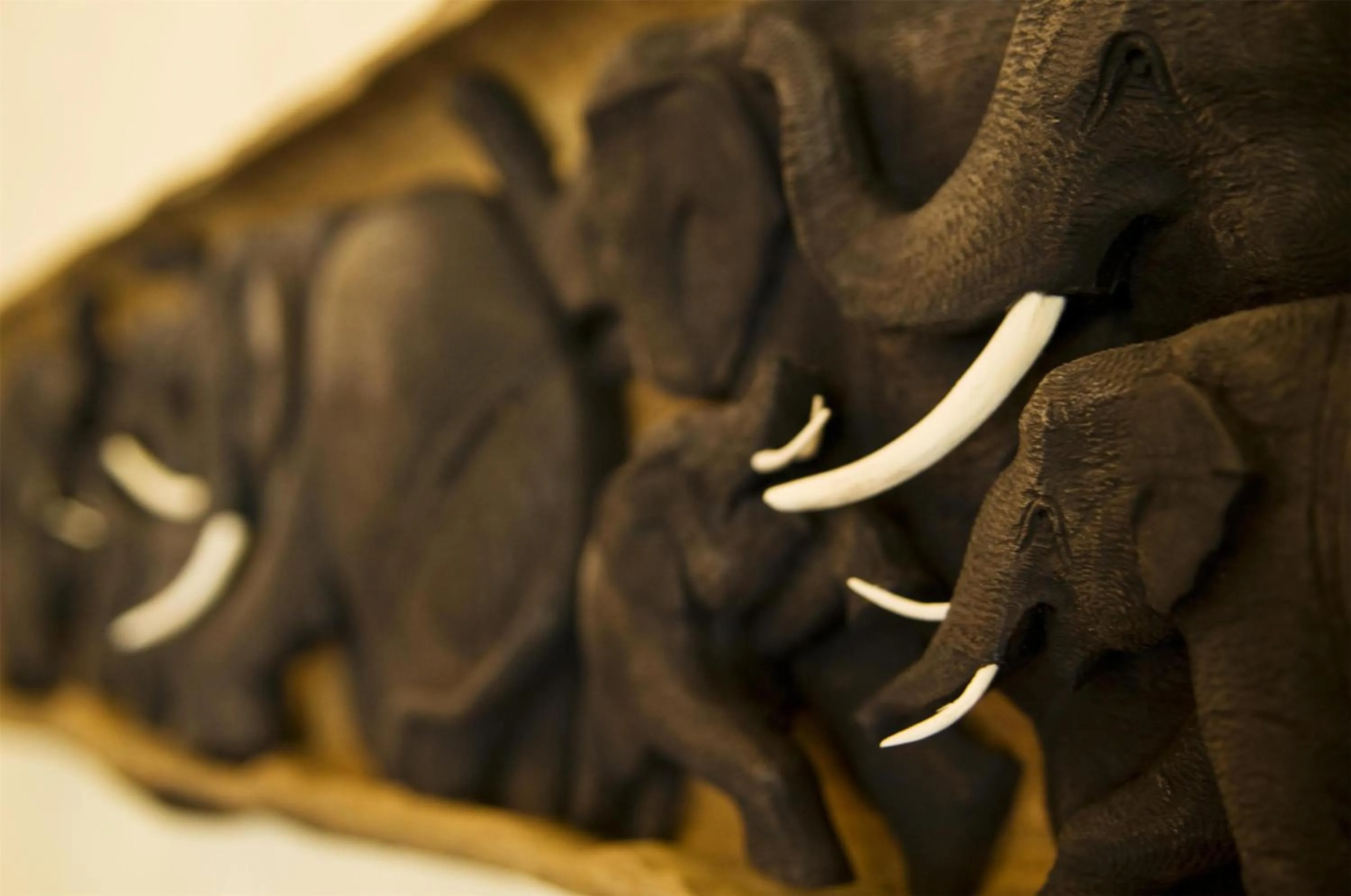 Photo of the whole room in Lindner Hotel Mallorca Portals Nous, part of JdV by Hyatt