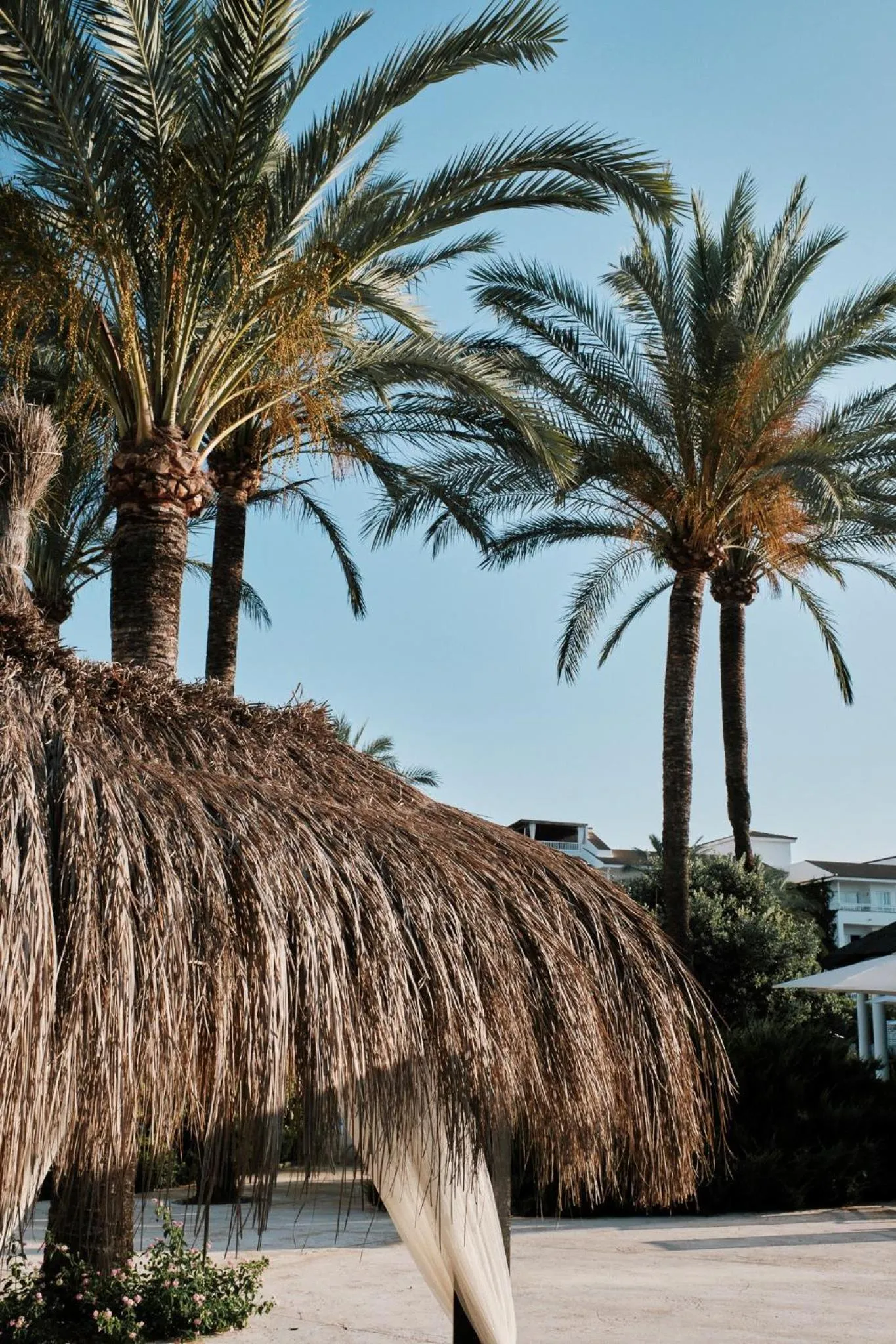 Garden in Prinsotel La Dorada & Spa