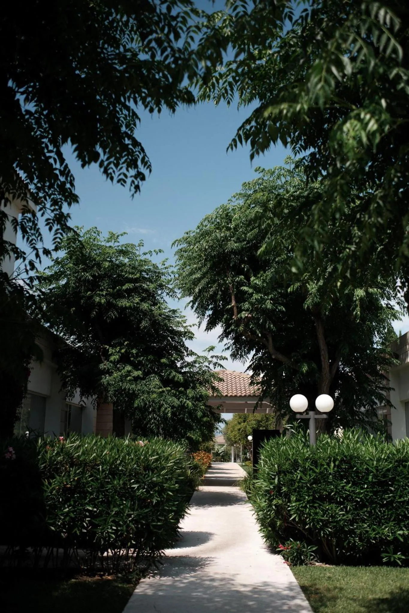 Spring in Prinsotel La Dorada & Spa