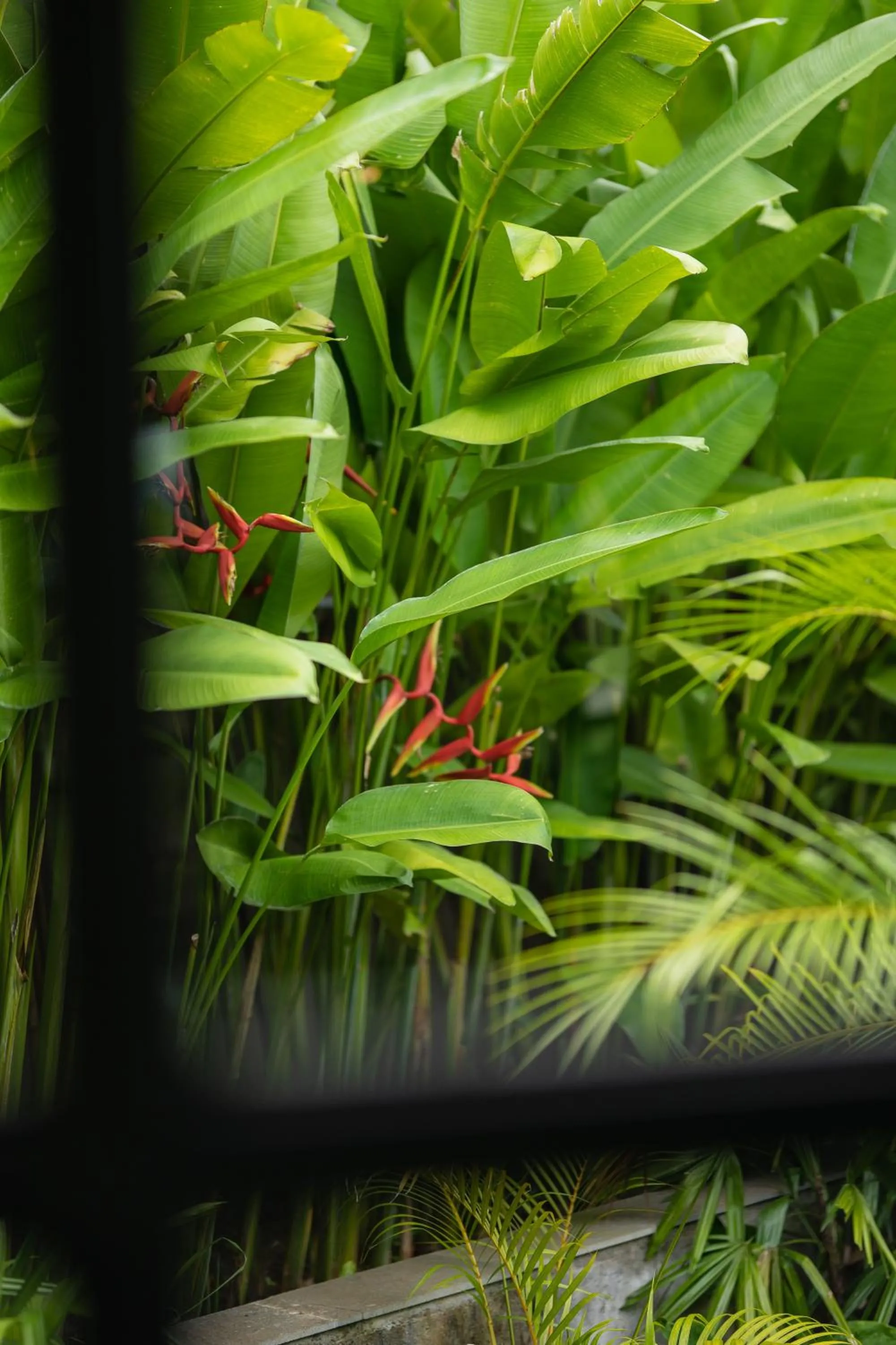 East Bali Volcano View Resort & Spa - Adults Only Area
