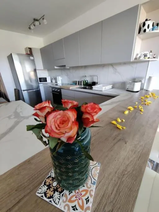 Luxurious 2 bedroom apartment with country view
