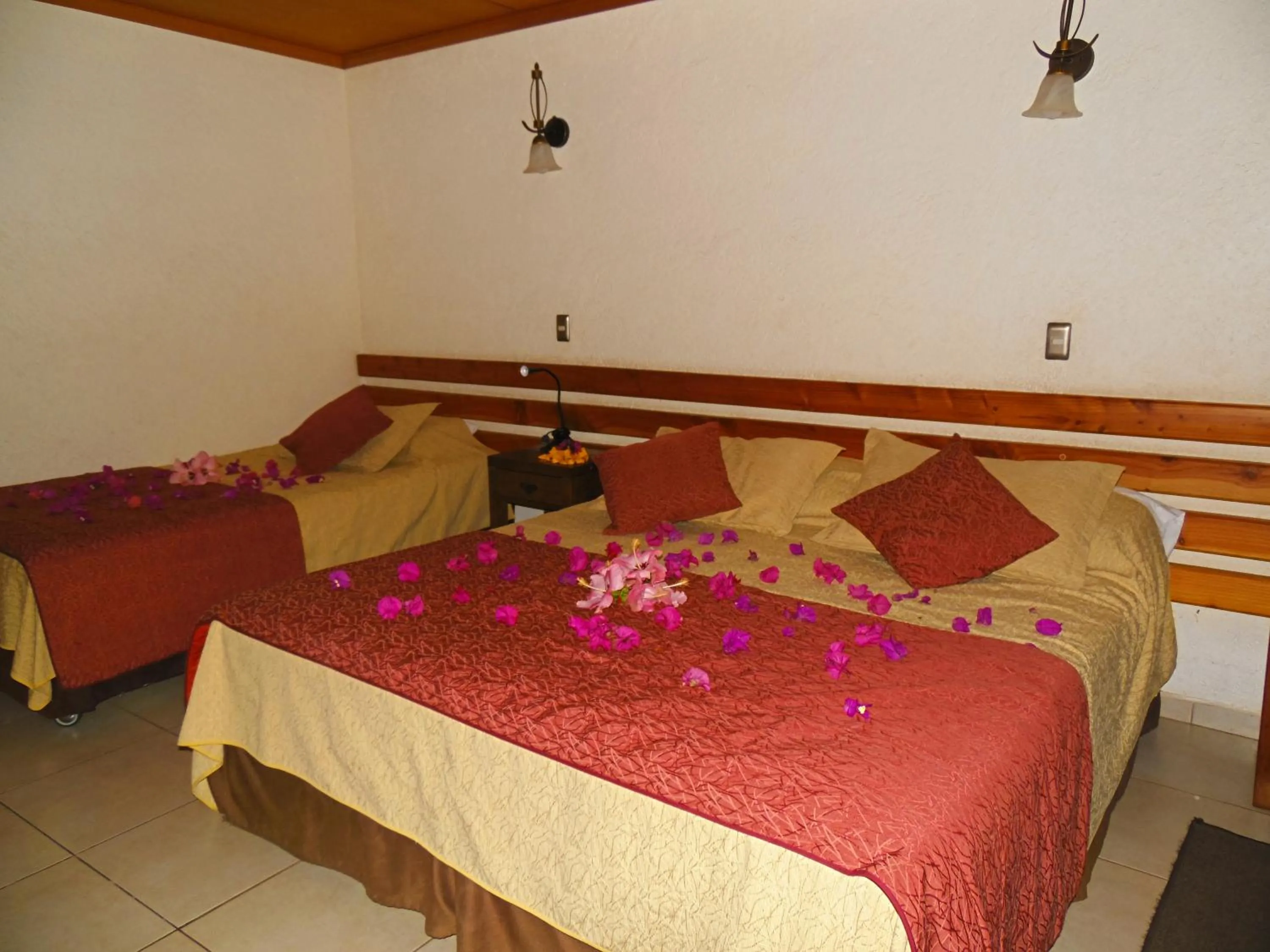 Bed in Hotel Puku Vai
