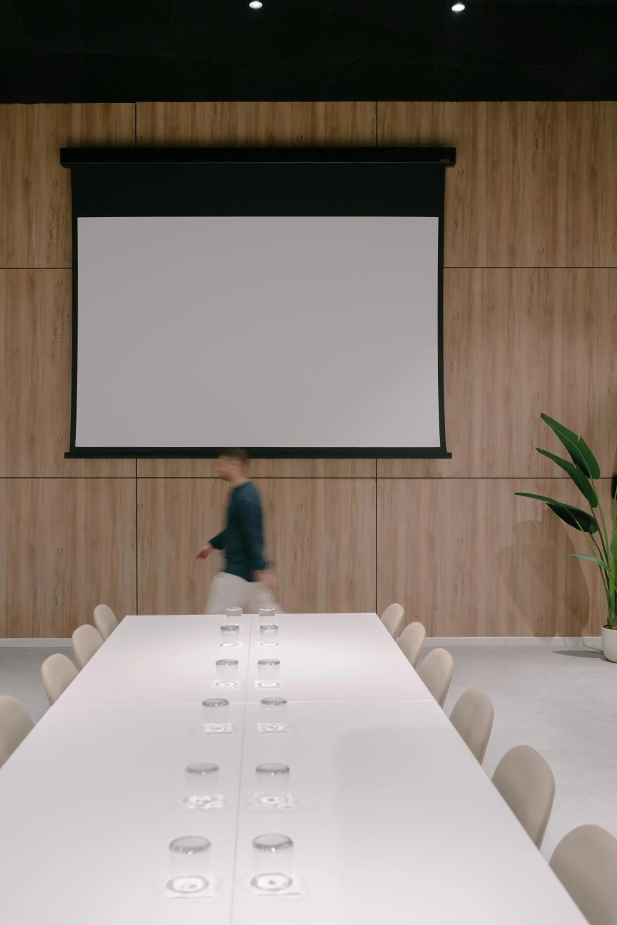 Meeting/conference room in Apollo Palm Hotel