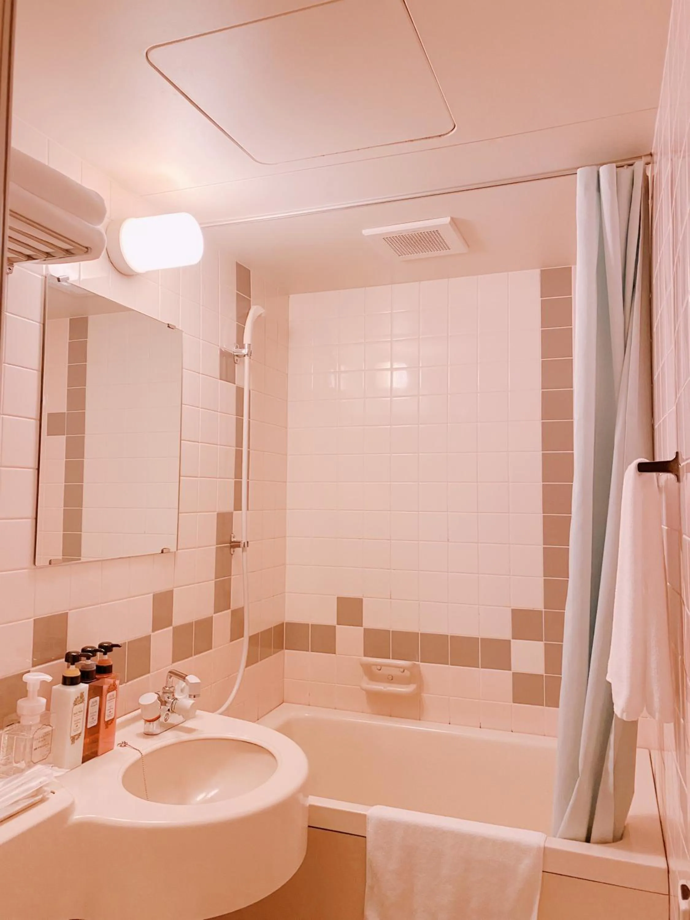 Bathroom in Inuyama City Hotel