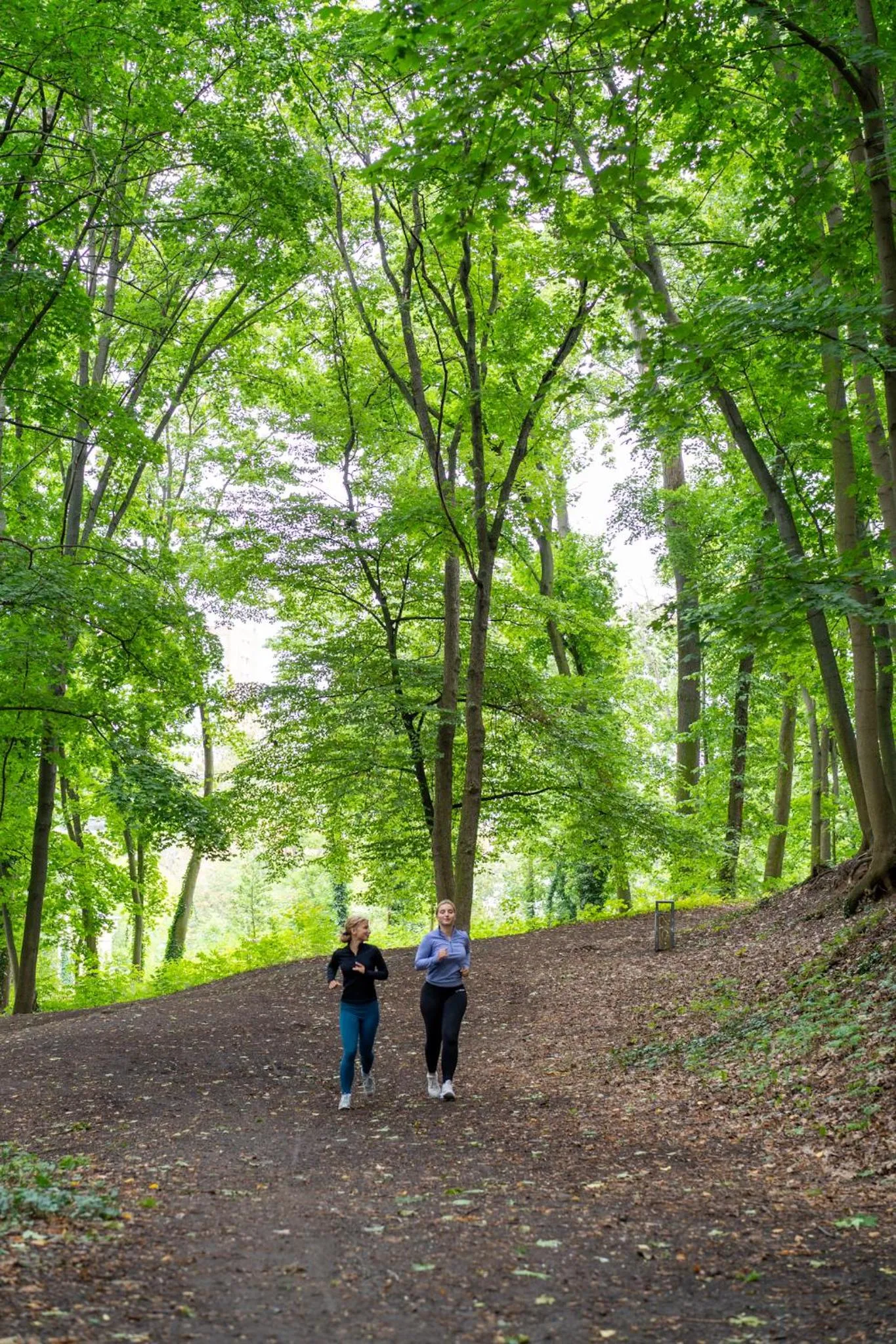 Nearby landmark in Aparthotel Na Klenici