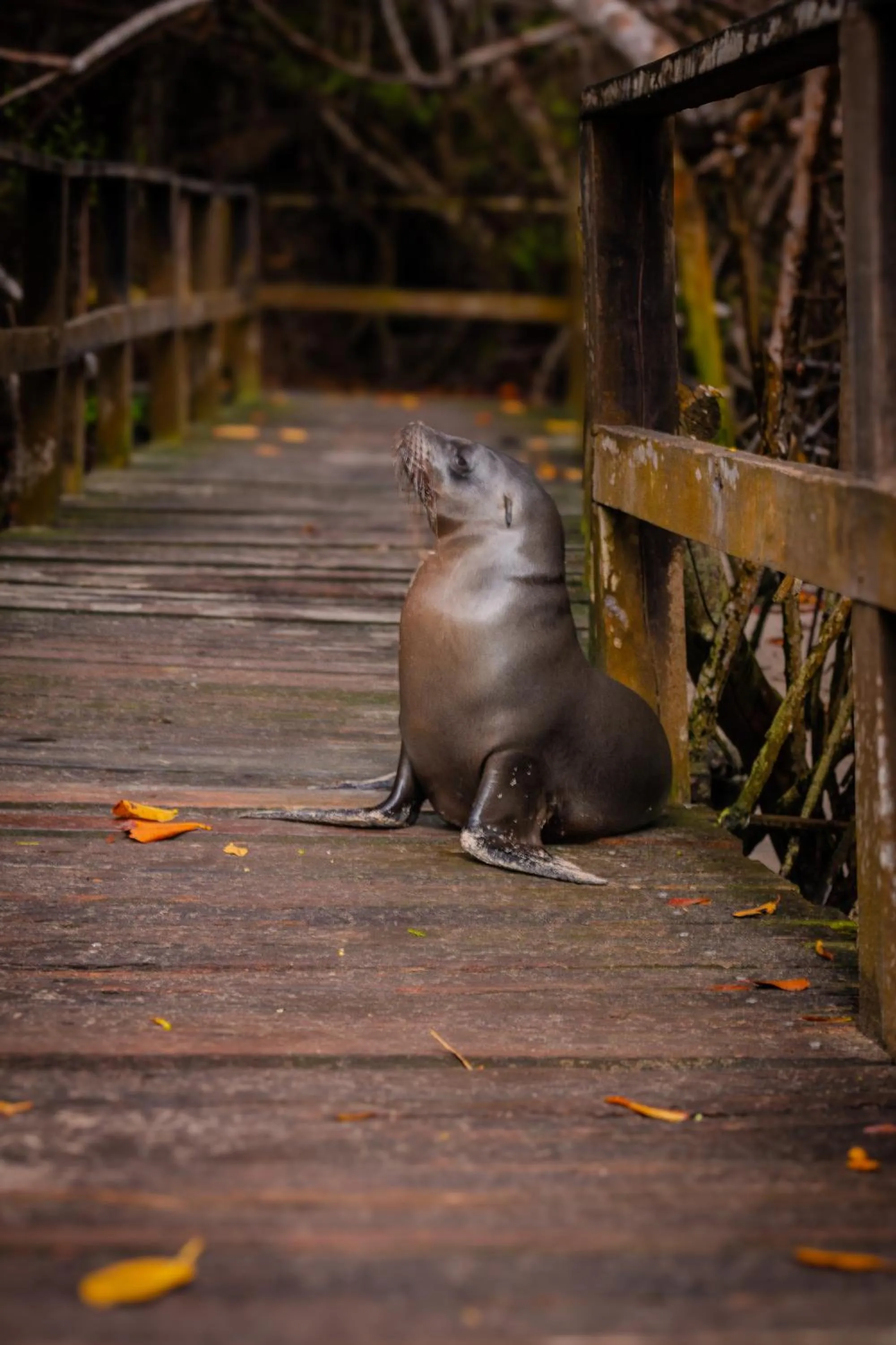 Activities in La Casa de Marita