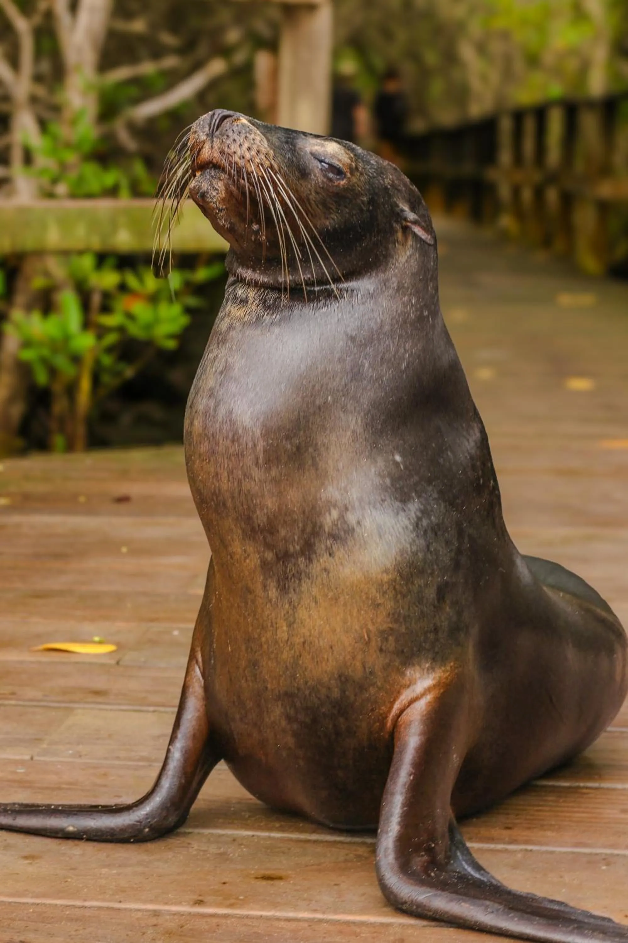 Activities in La Casa de Marita