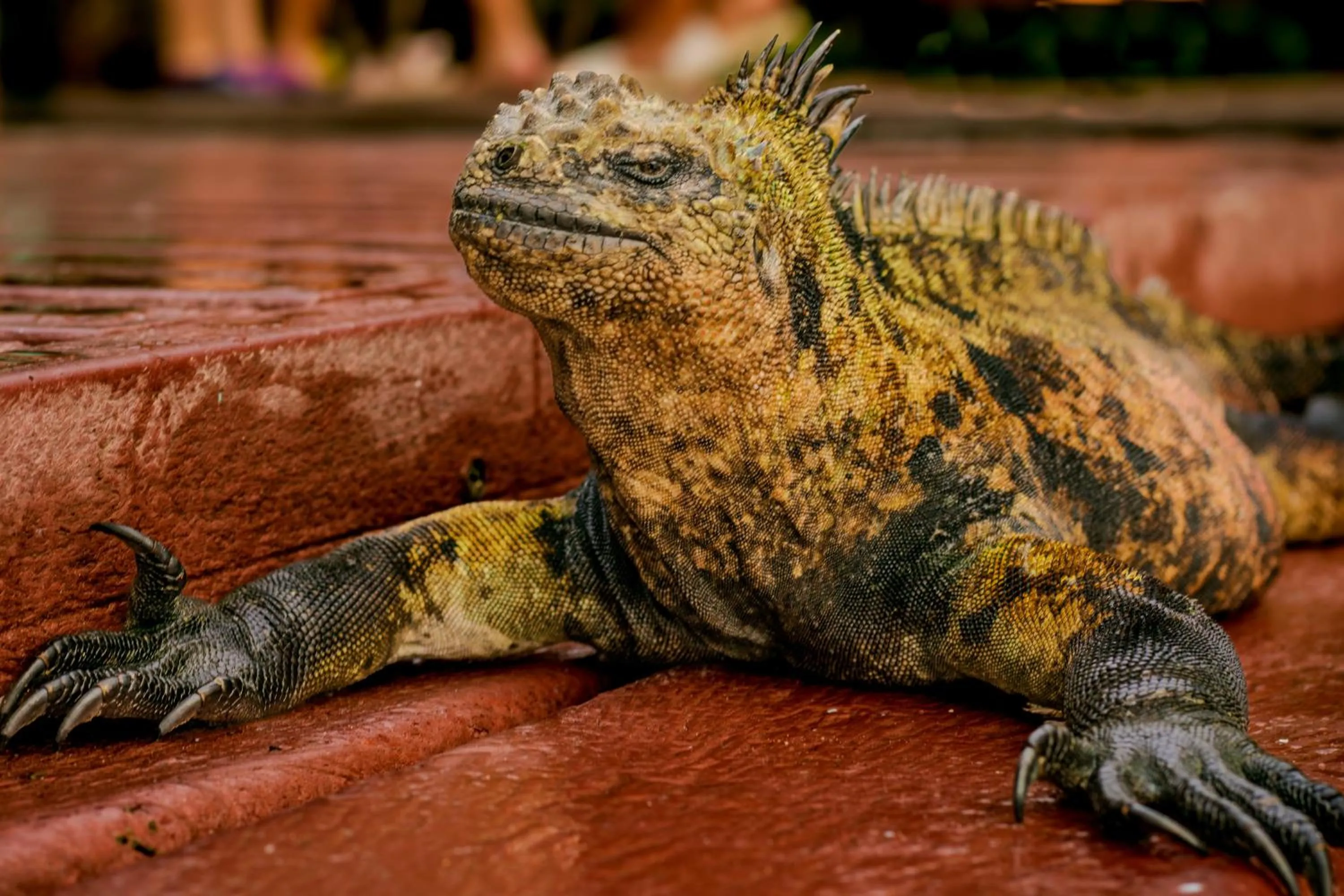 Activities in La Casa de Marita