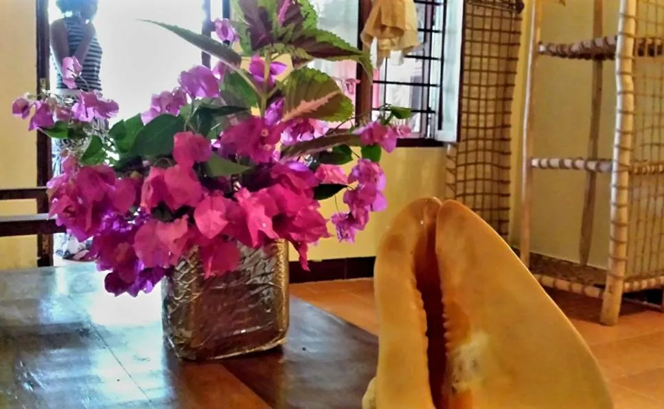 Property building in Sipano Beach Lodge Kiwengwa