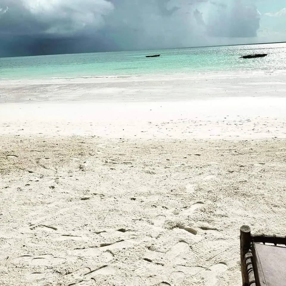 Beach in Sipano Beach Lodge Kiwengwa