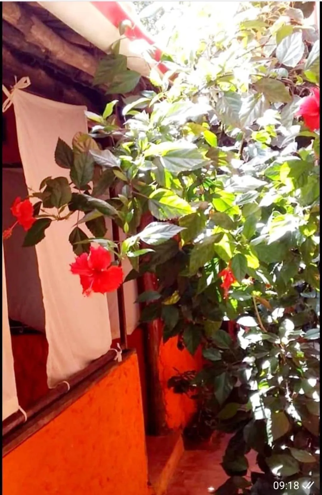 Sipano Beach Lodge Kiwengwa