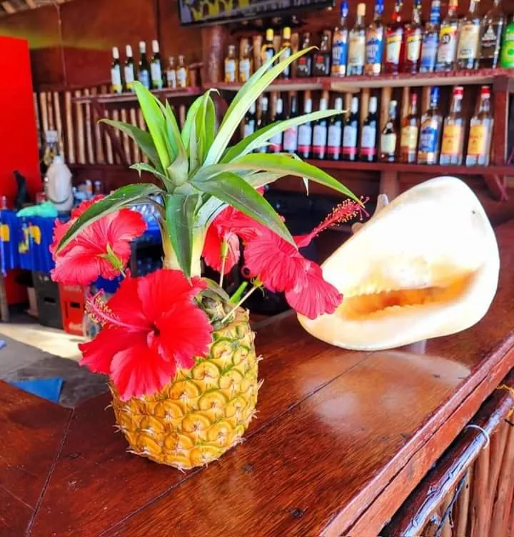 Sipano Beach Lodge Kiwengwa