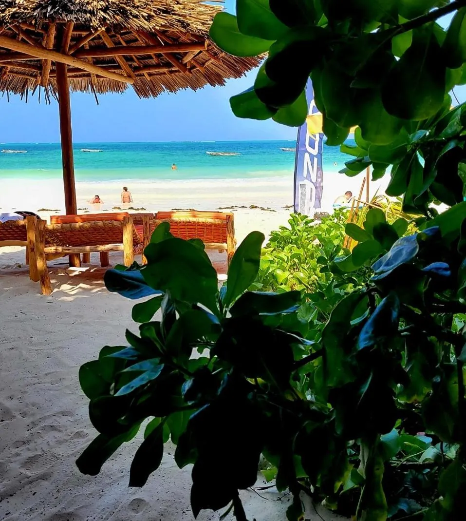 Beach in Sipano Beach Lodge Kiwengwa