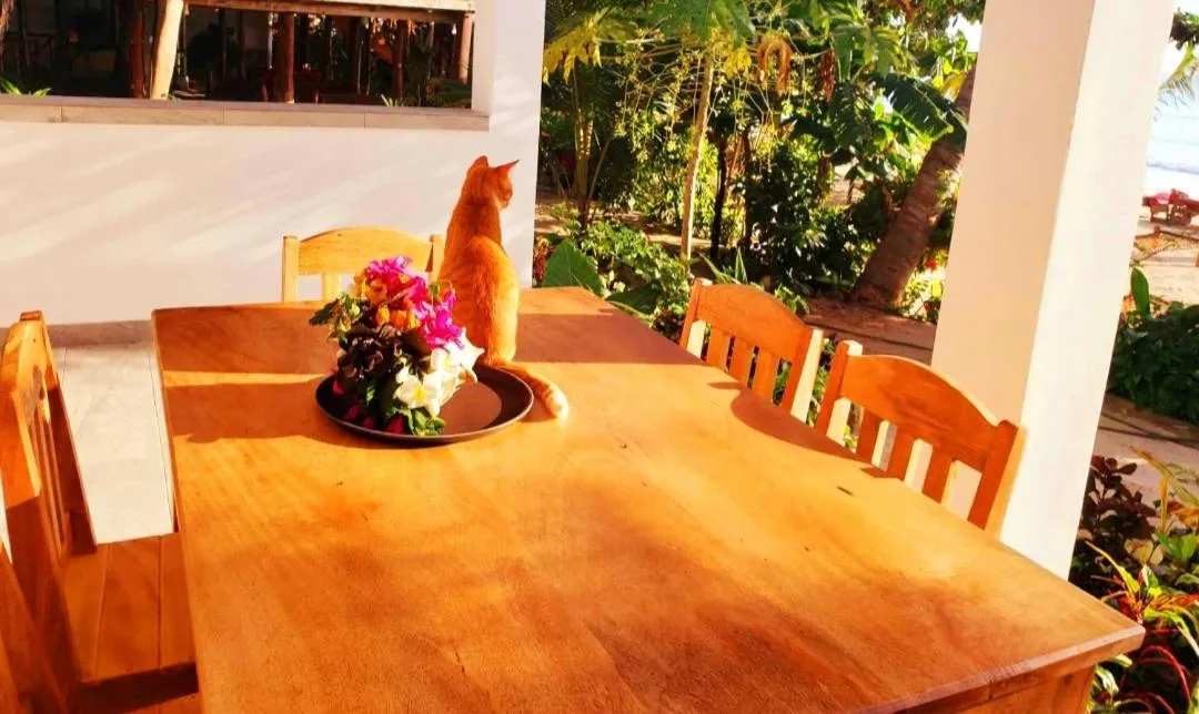 Sipano Beach Lodge Kiwengwa