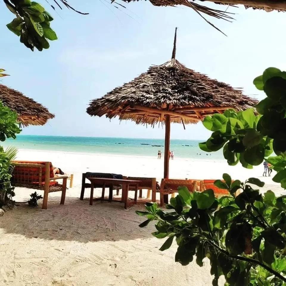 Sipano Beach Lodge Kiwengwa