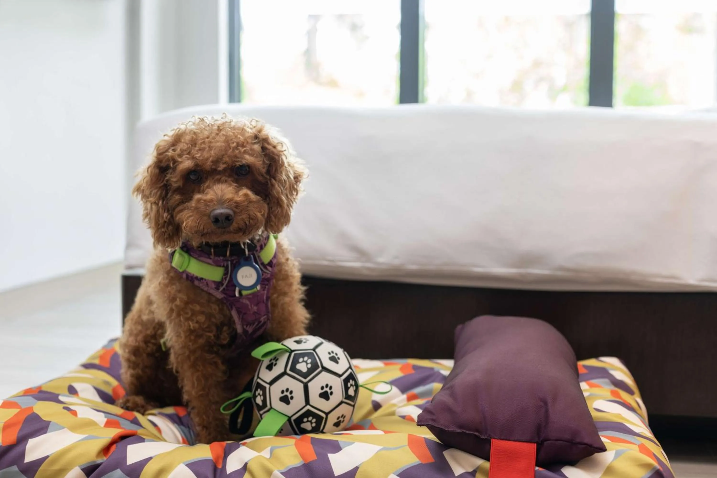 Bedroom in Hyatt Regency Sanya Tianli Bay
